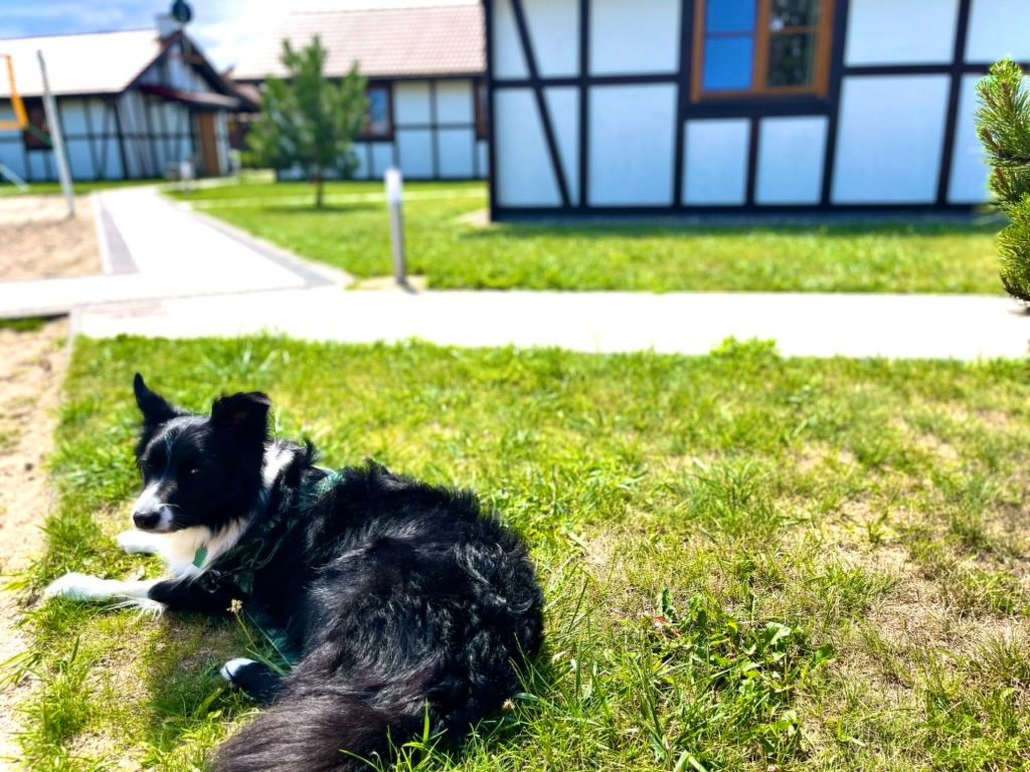 "Dom4" mit Wasserblick-Image-tags.info