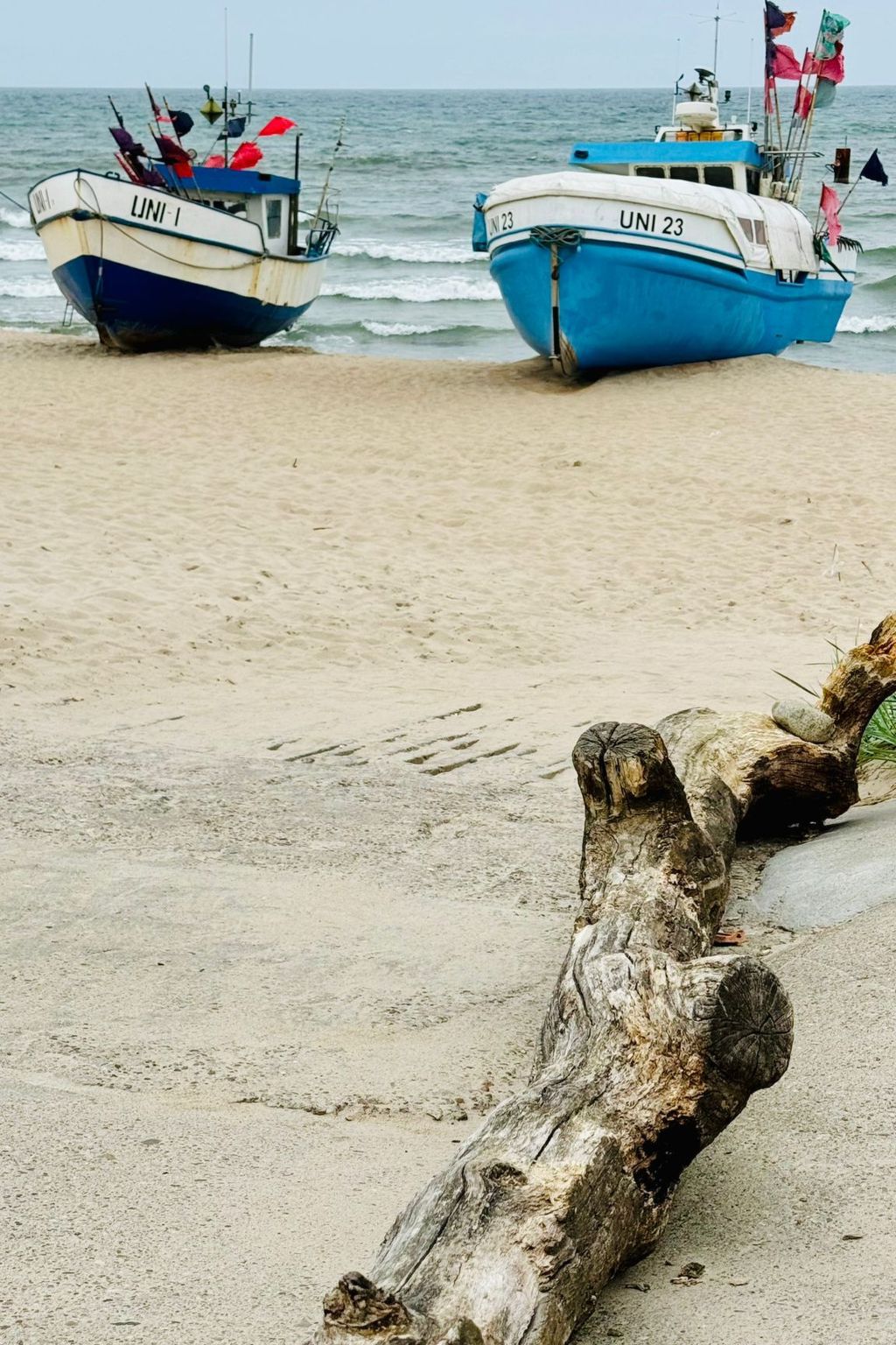 Gemütliches Ferienhaus an der Ostsee - Haus Nr. 4-Image-tags.info