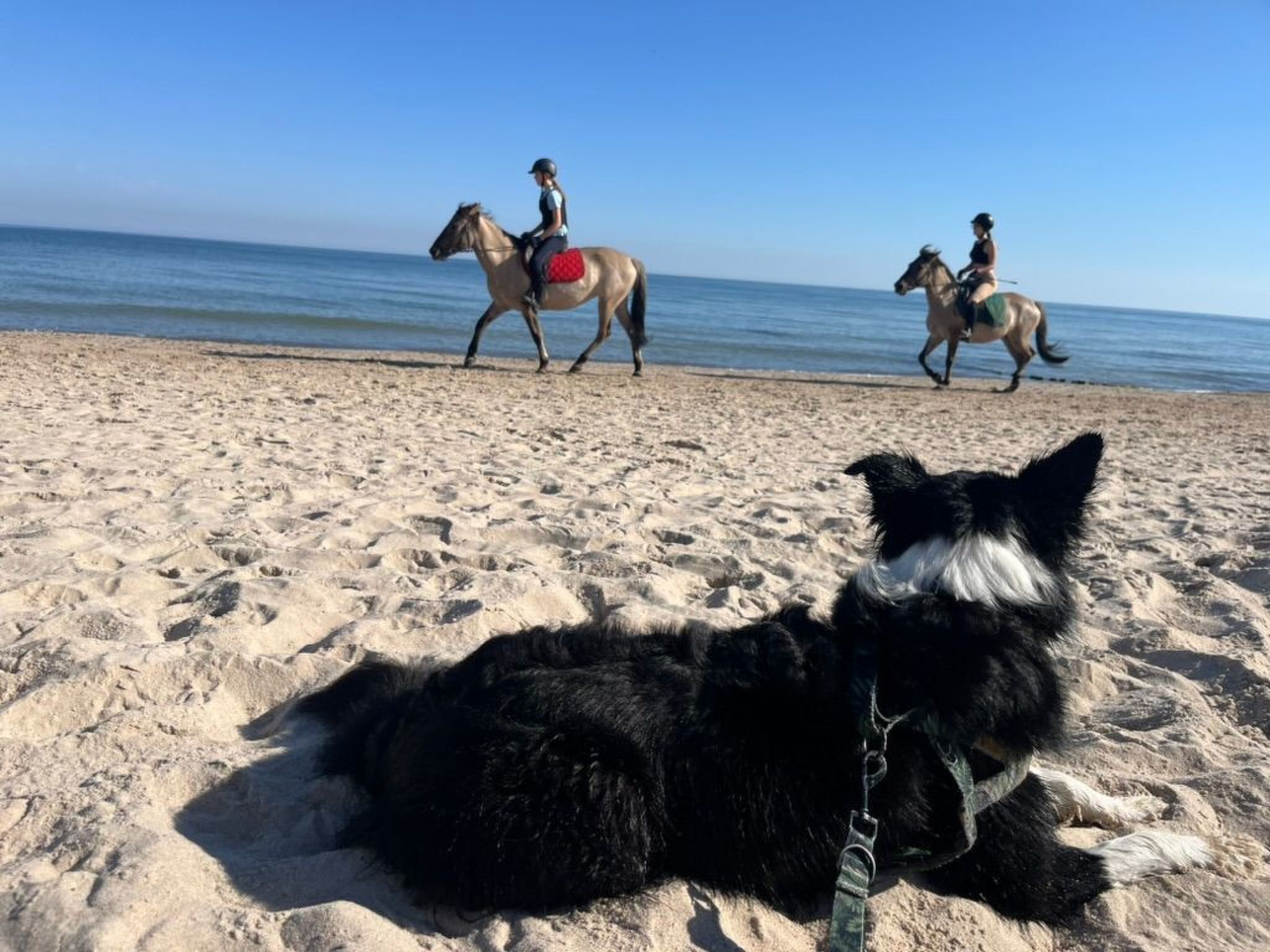 "Dom3" mit Garten, Grill und Terrasse-Image-tags.info