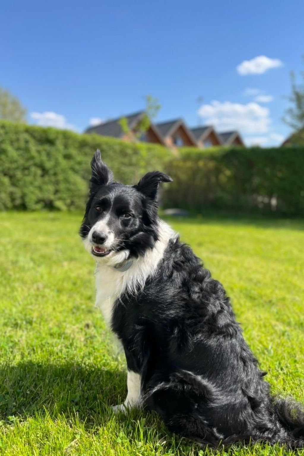 "Dom3" mit Garten, Grill und Terrasse-Image-tags.info