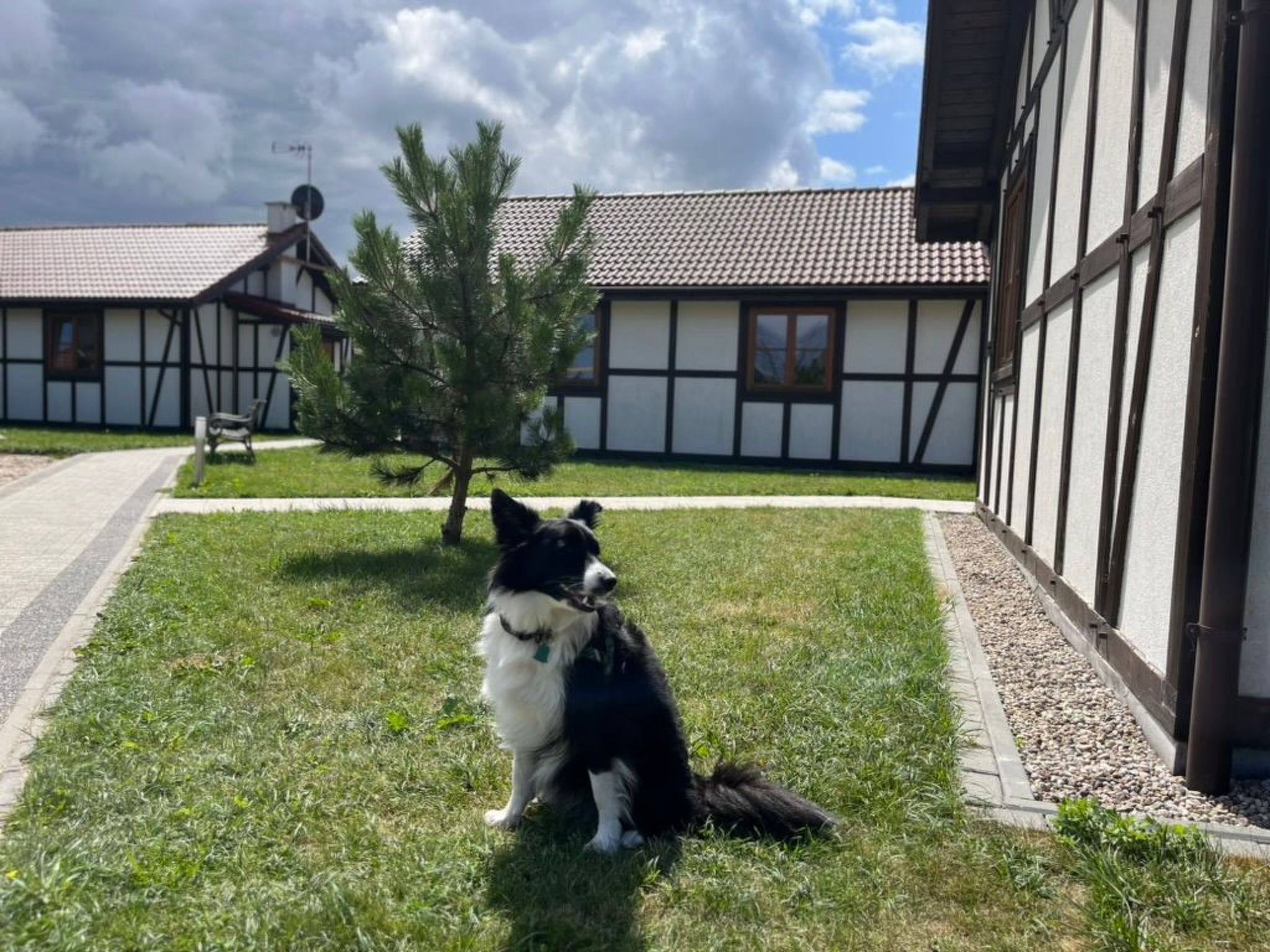 "Dom3" mit Garten, Grill und Terrasse-Image-tags.info