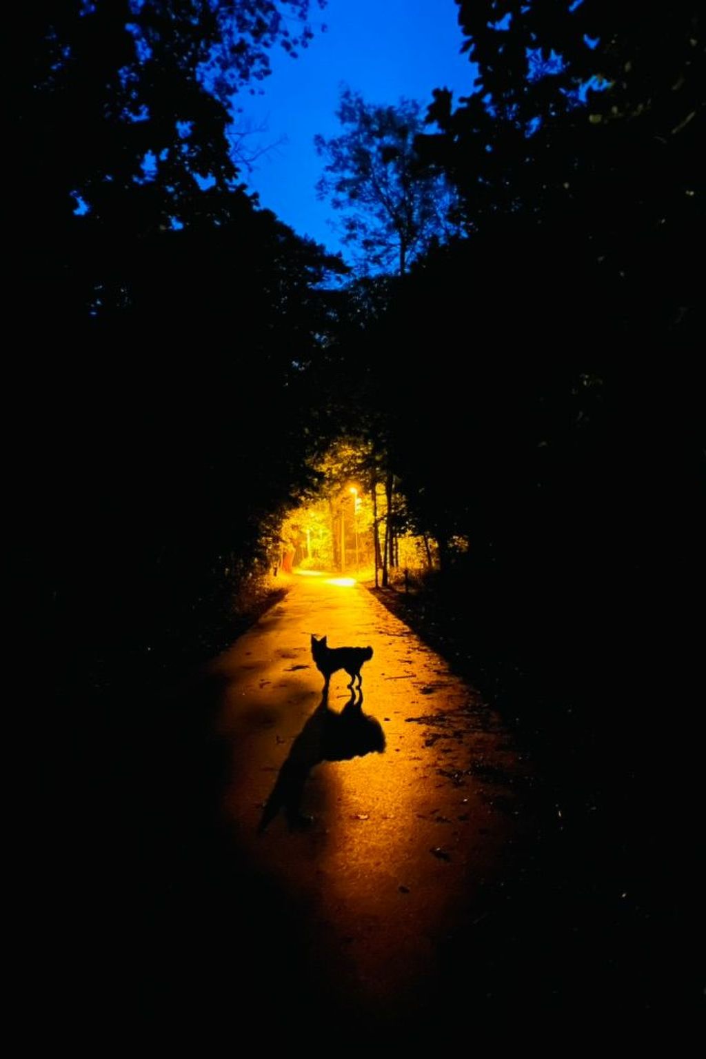 "Haus1" mit Wasserblick-Image-tags.info