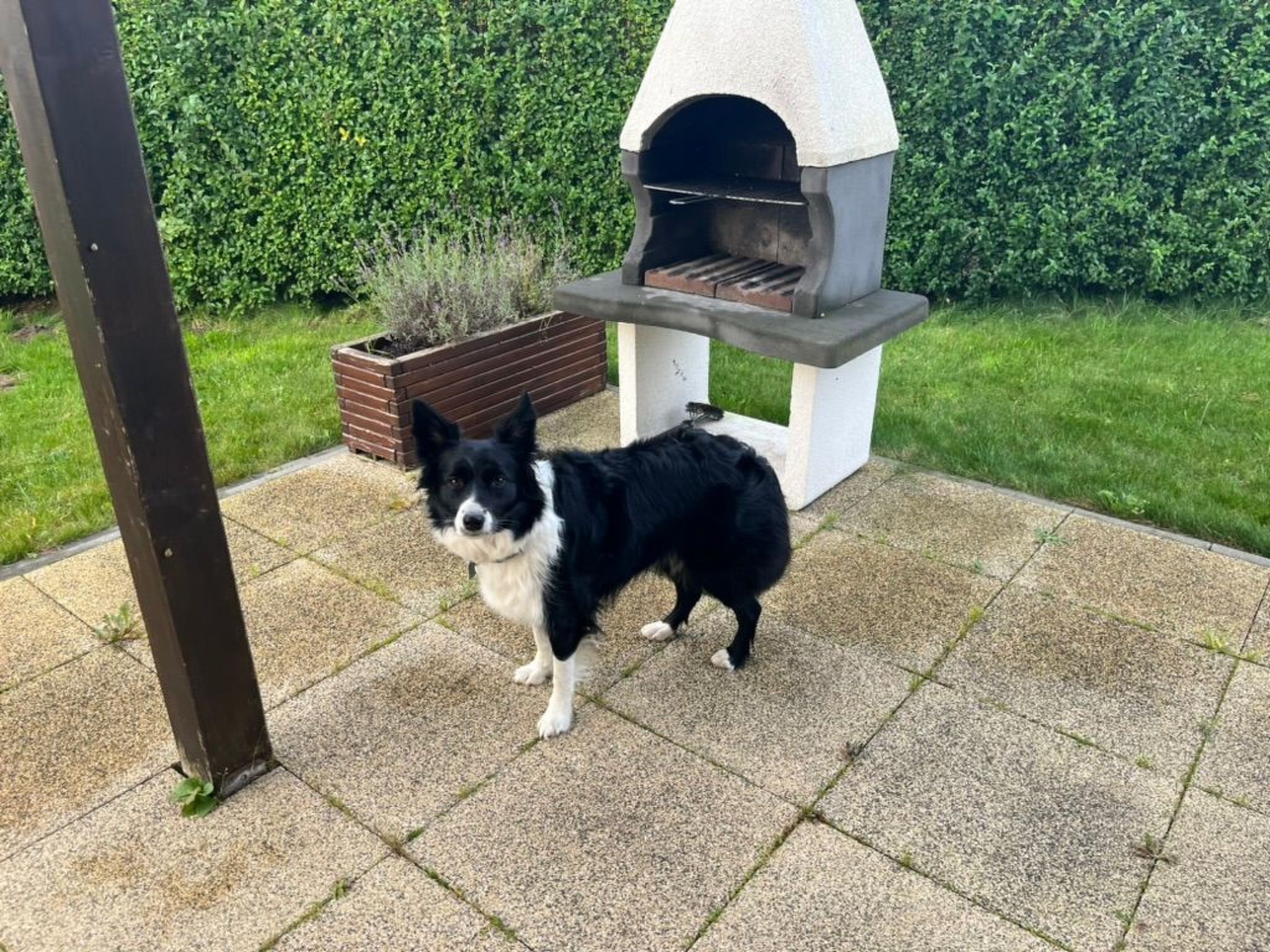 "Haus1" mit Wasserblick-Image-tags.info