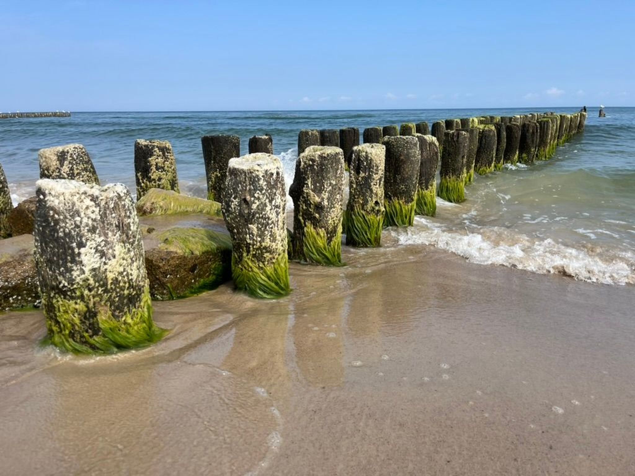 Wohnung mit Blick auf das Wasser-Image-tags.info
