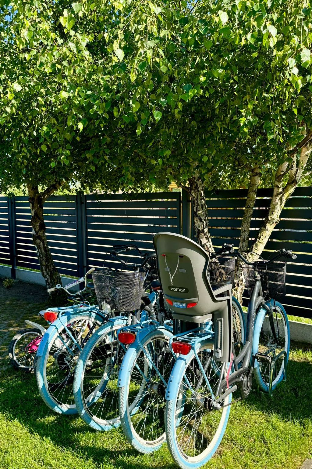 Gemütliches Ferienhaus an der Ostsee - Haus Nr. 2-Image-tags.info