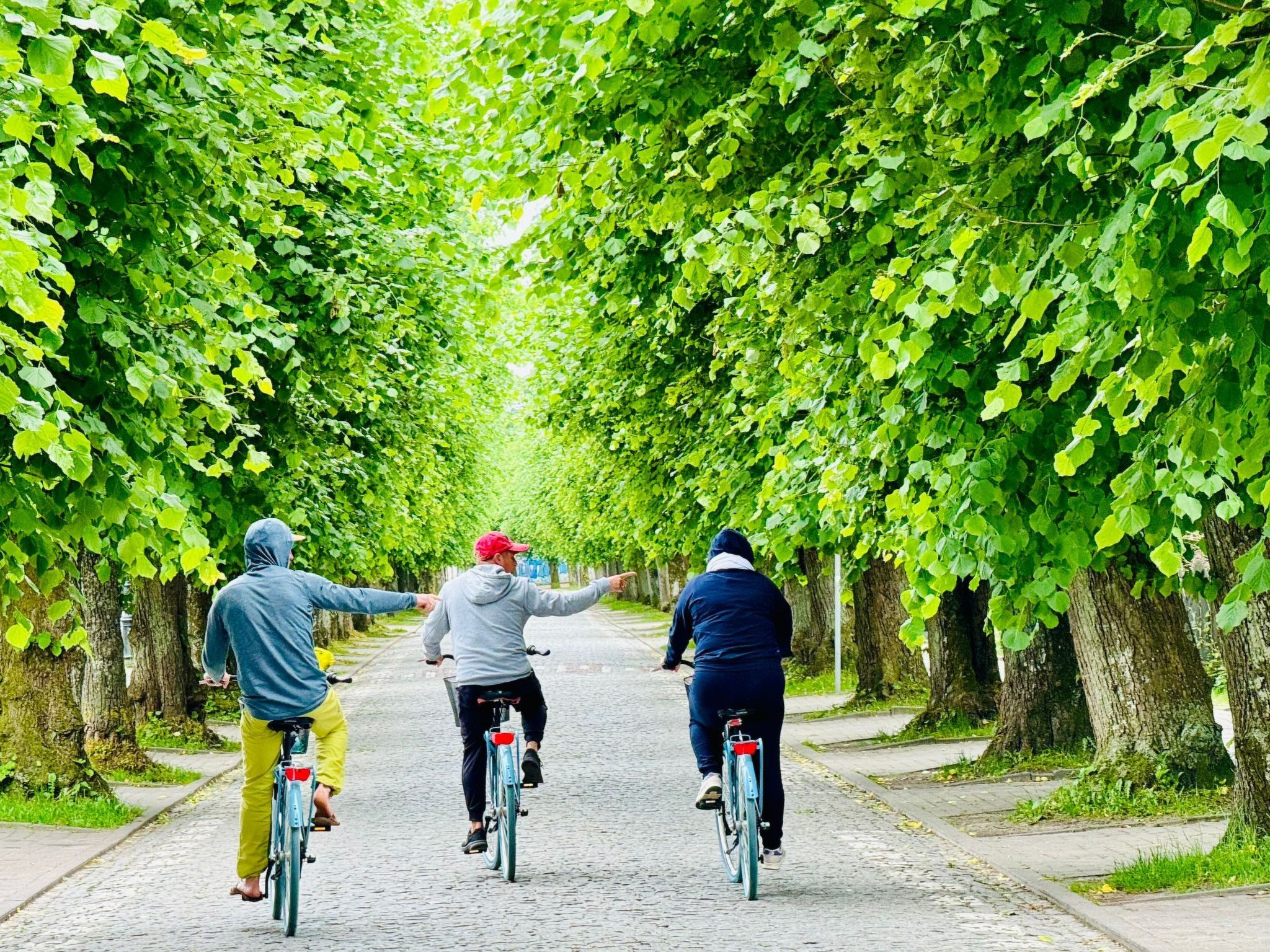 Gemütliches Ferienhaus an der Ostsee - Haus Nr. 2-Image-tags.info