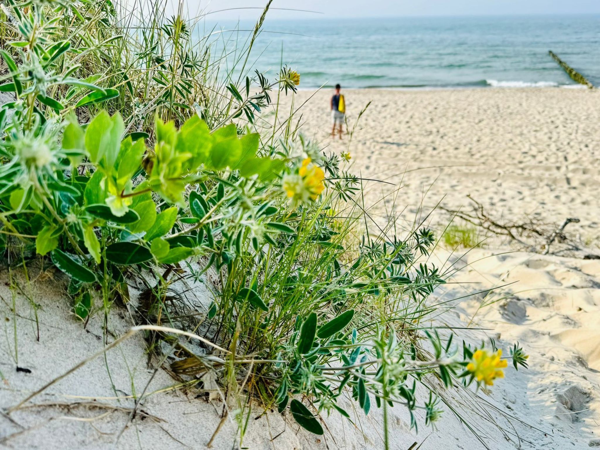 Komfortables Ferienhaus an der Ostseeküste-Image-tags.info