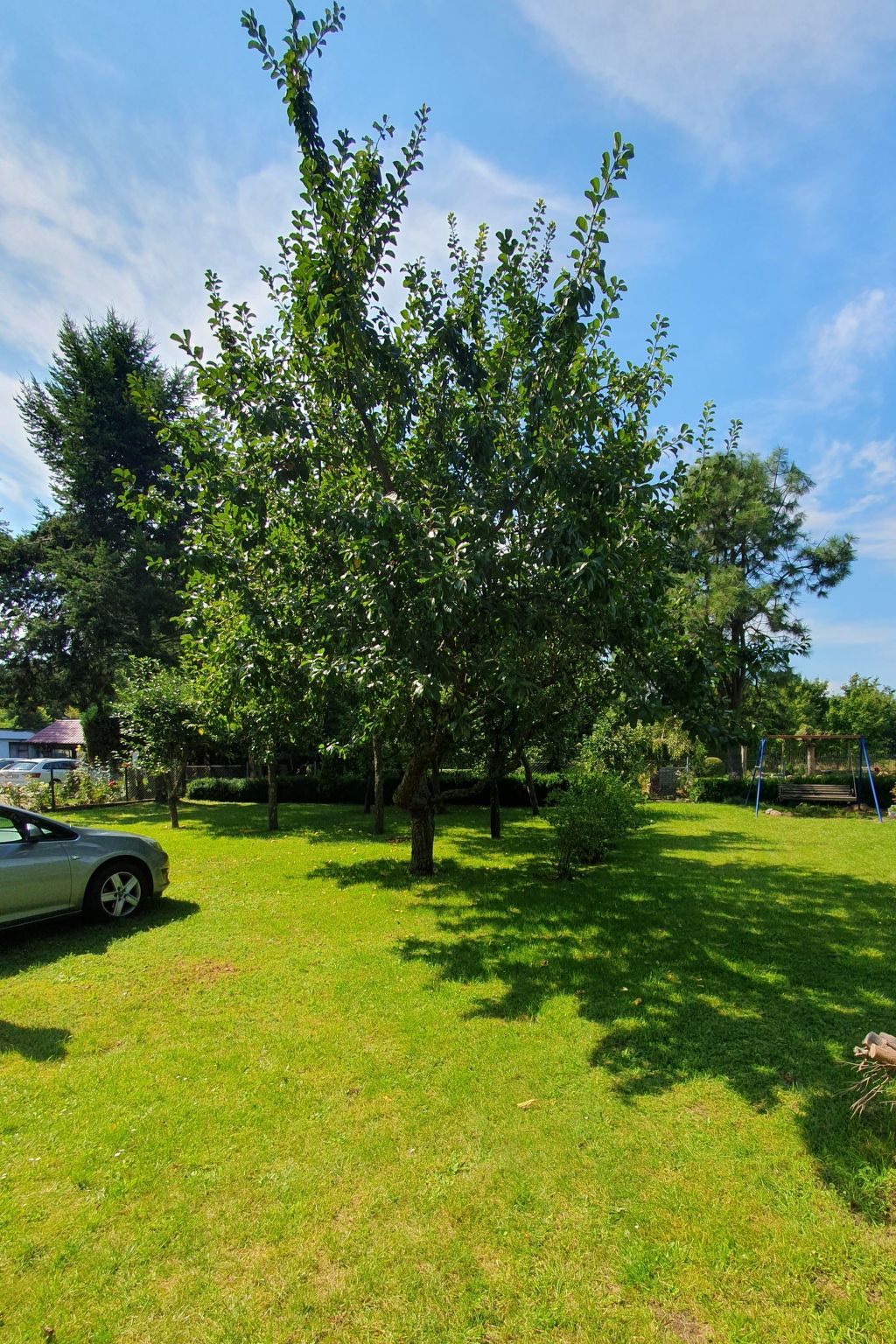 Haus "Am Nussbaum "-Binnen