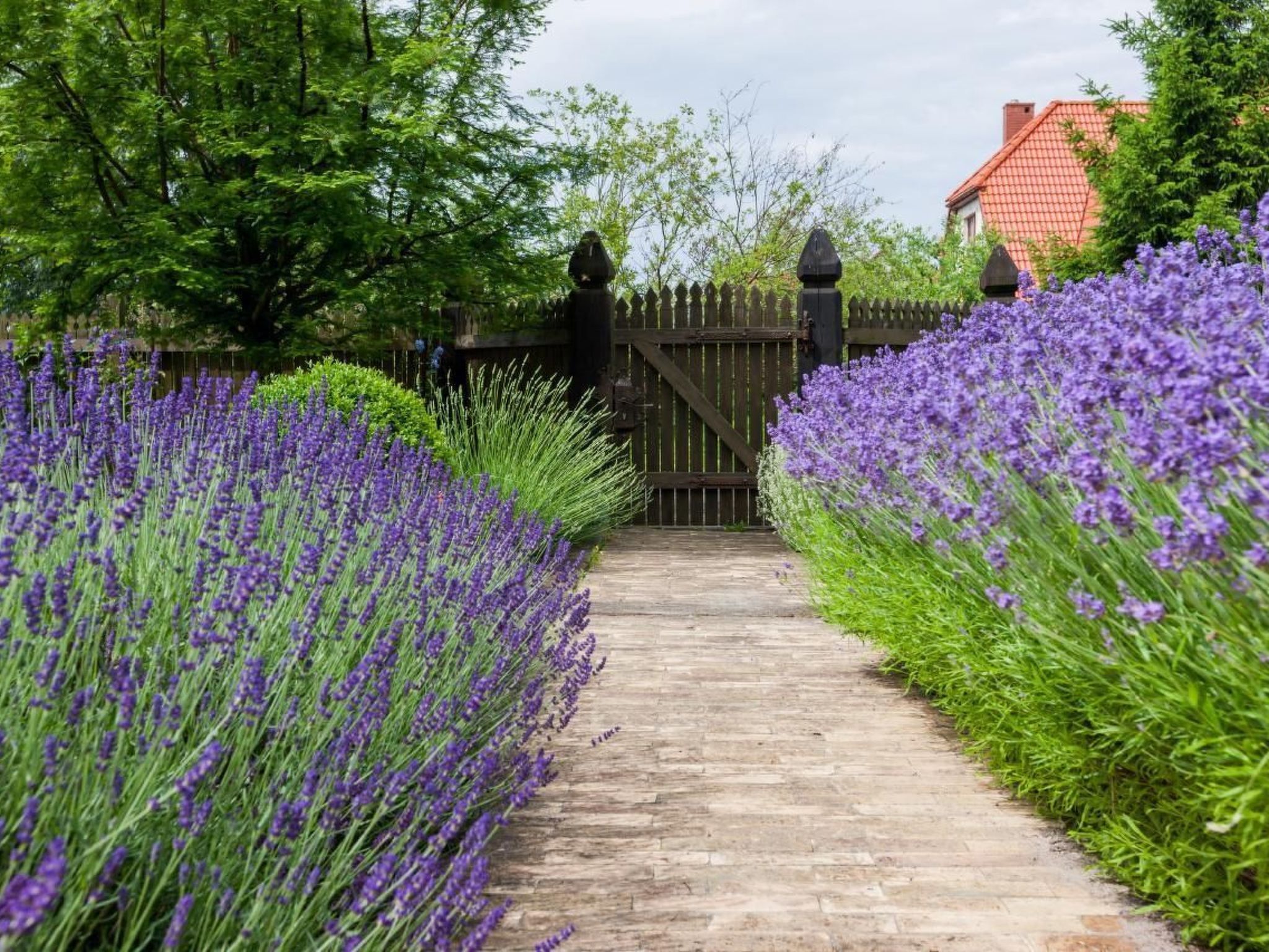 In Gąski mit Gepflegtem Garten-Binnen