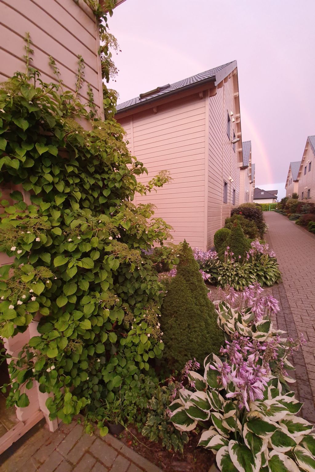 Mit Wasserblick - Buiten