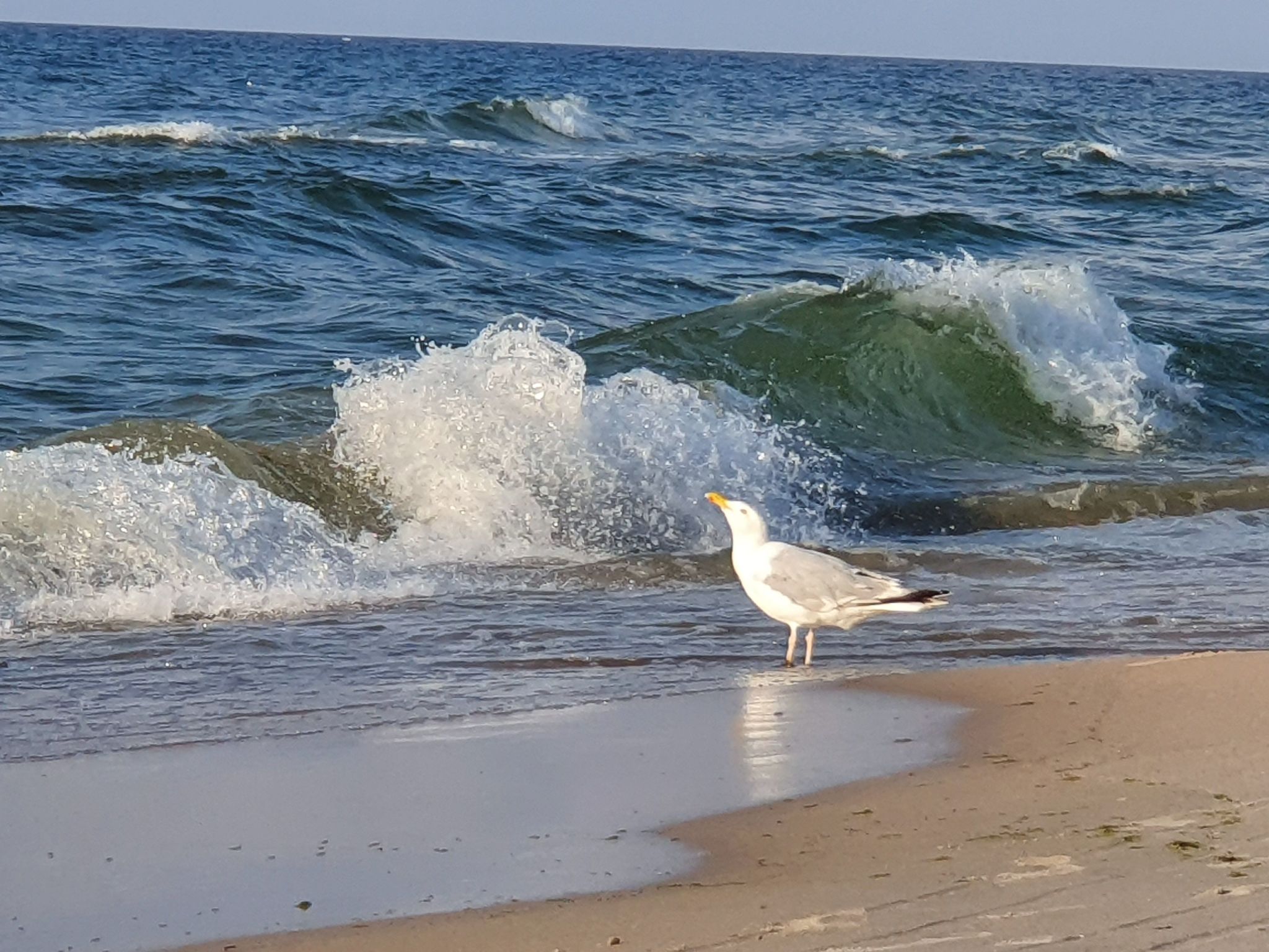 Mit Wasserblick - Buiten