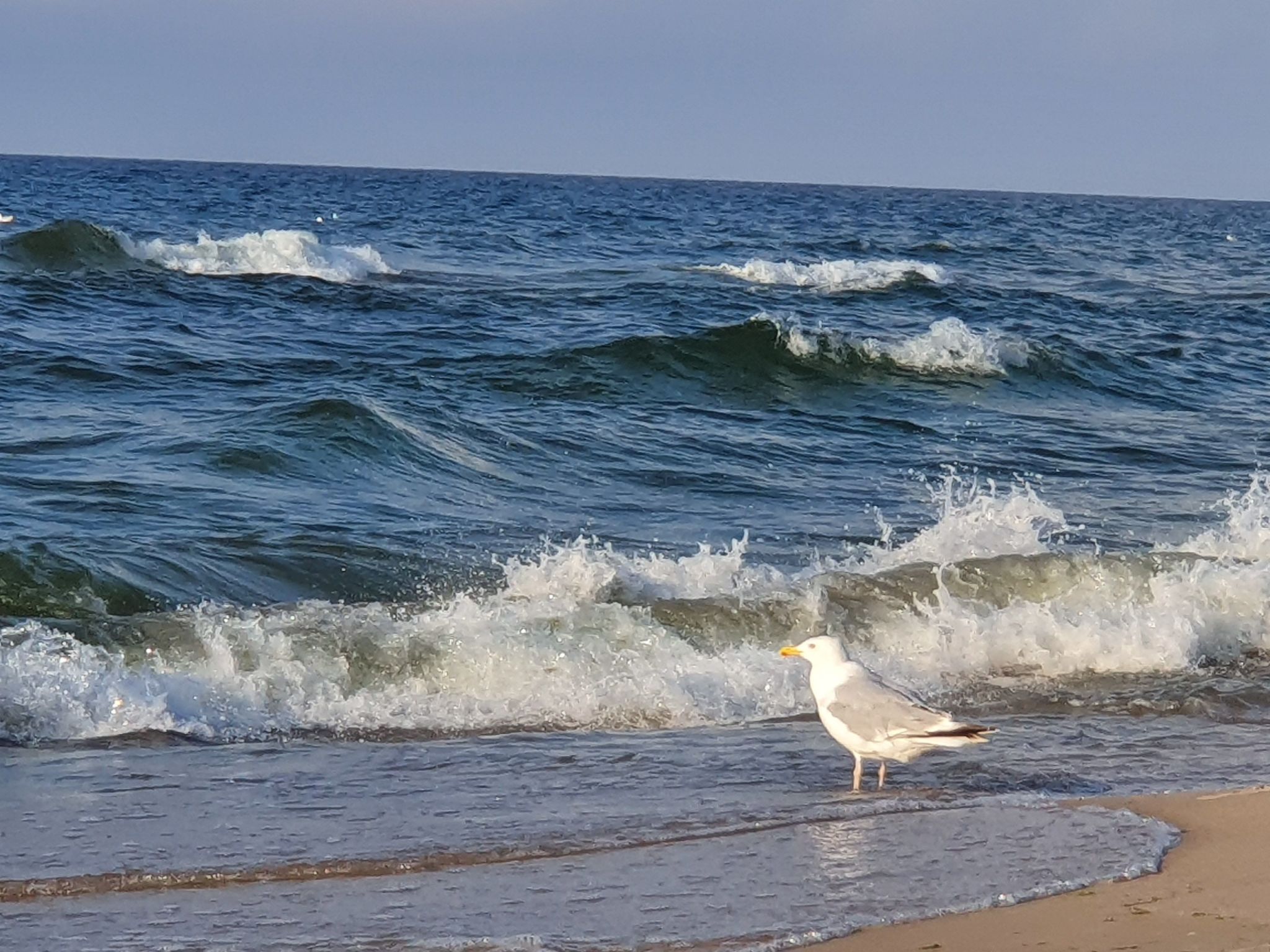 Wohnung mit Blick auf das Wasser - Dehors