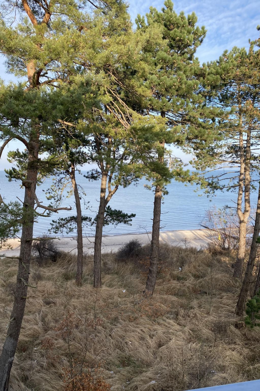 Schönes Ferienhaus für 7 Personen und 1 Kind-Binnen