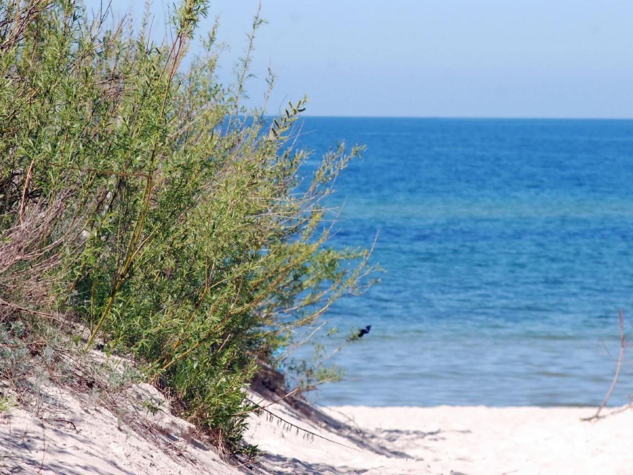 Stilvolles Haus ganz nah am Meer-Binnen
