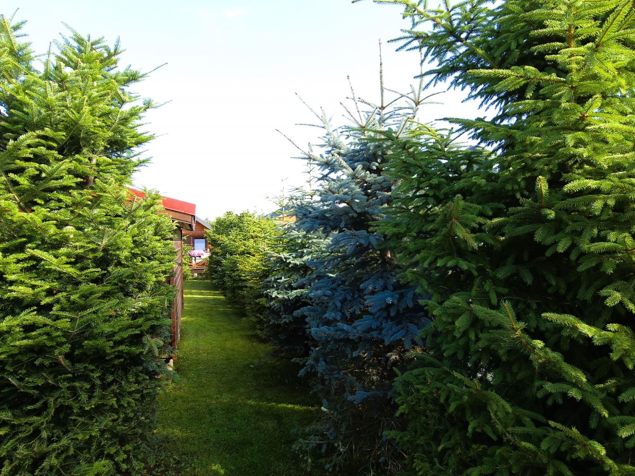 Mit gemeinschaftlichem Pool-Binnen