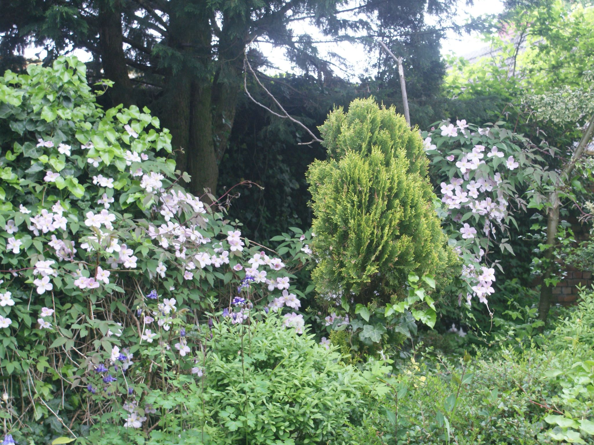 Meer, Landschaft, Stille - Ferienhäuser in den Gärten von Magra-Draußen