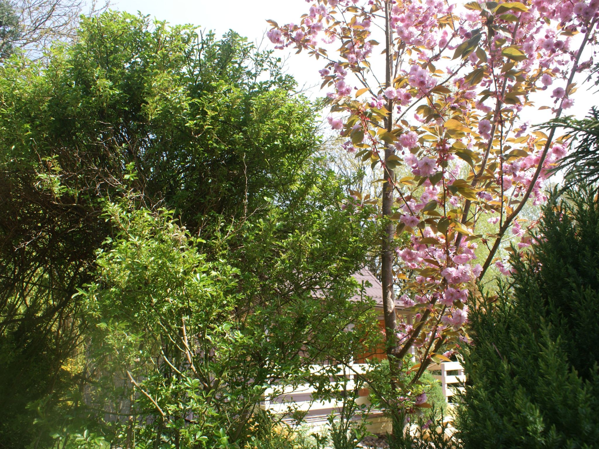 Meer, Landschaft, Stille - Ferienhäuser in den Gärten von Magra-Draußen
