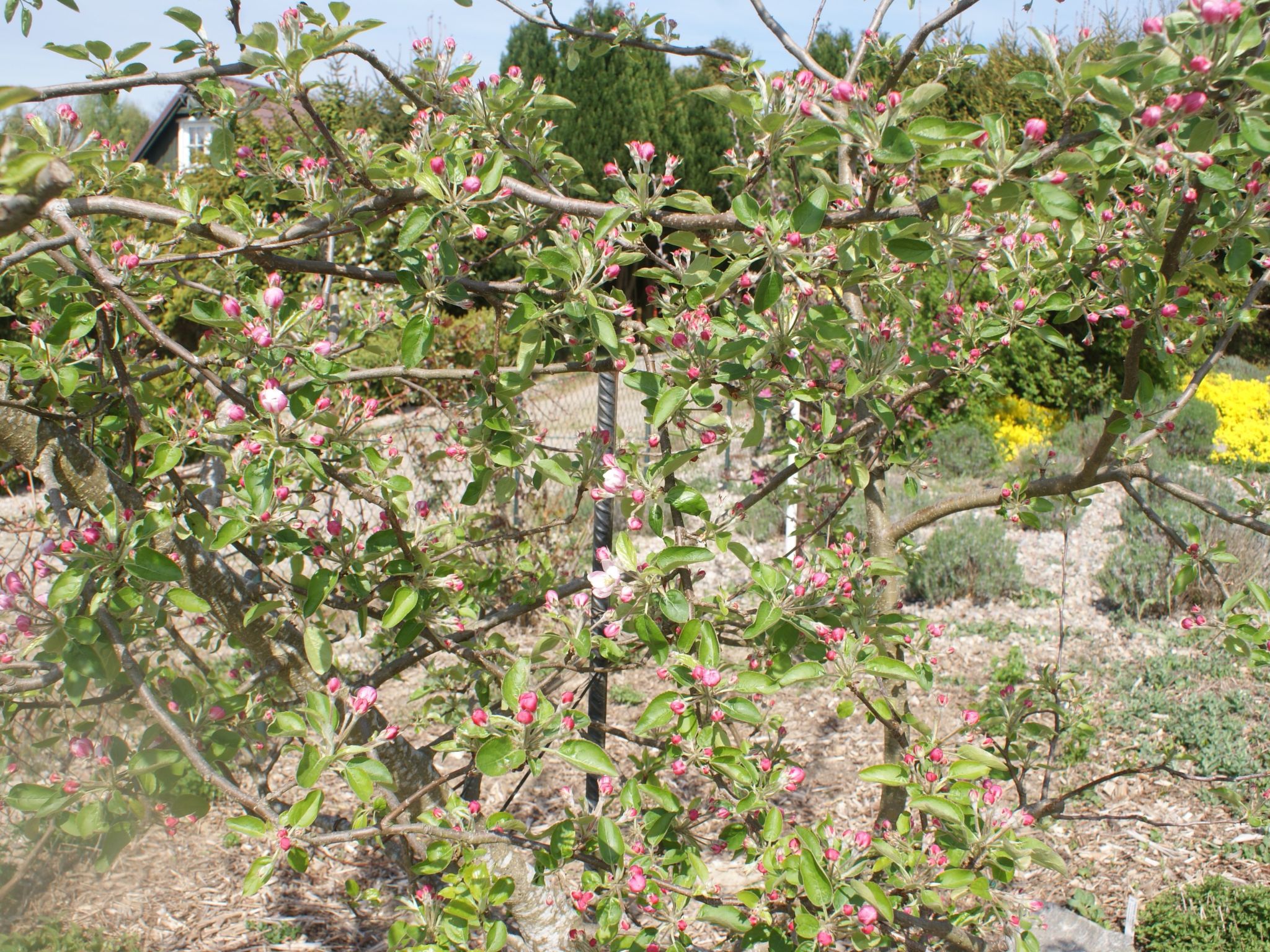 Meer, Landschaft, Stille - Ferienhäuser in den Gärten von Magra-Image-tags.info