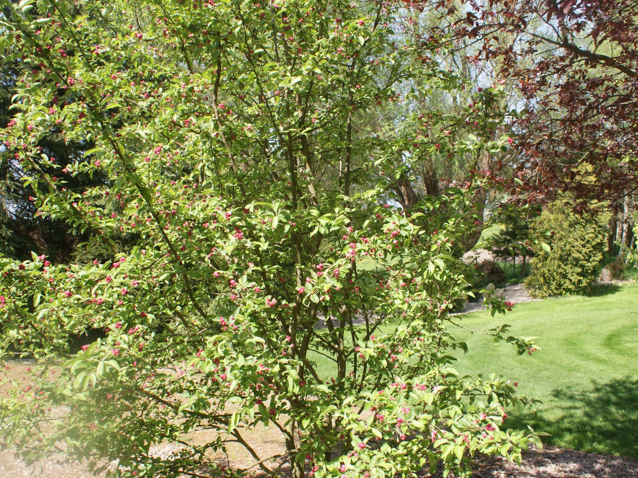 Meer, Landschaft, Stille - Ferienhäuser in den Gärten von Magra-Draußen