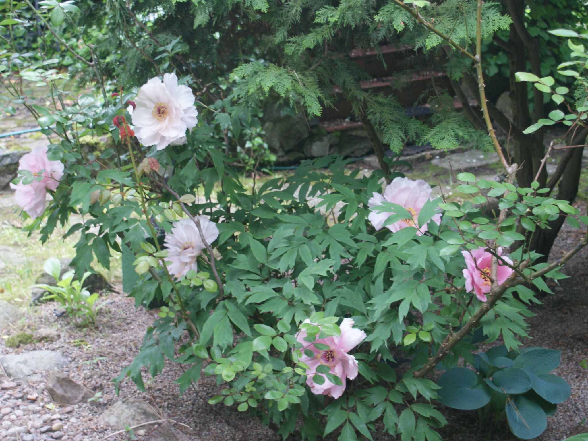 Ruhe am Meer - Ferienhäuser in den Gärten von Magra-Image-tags.info
