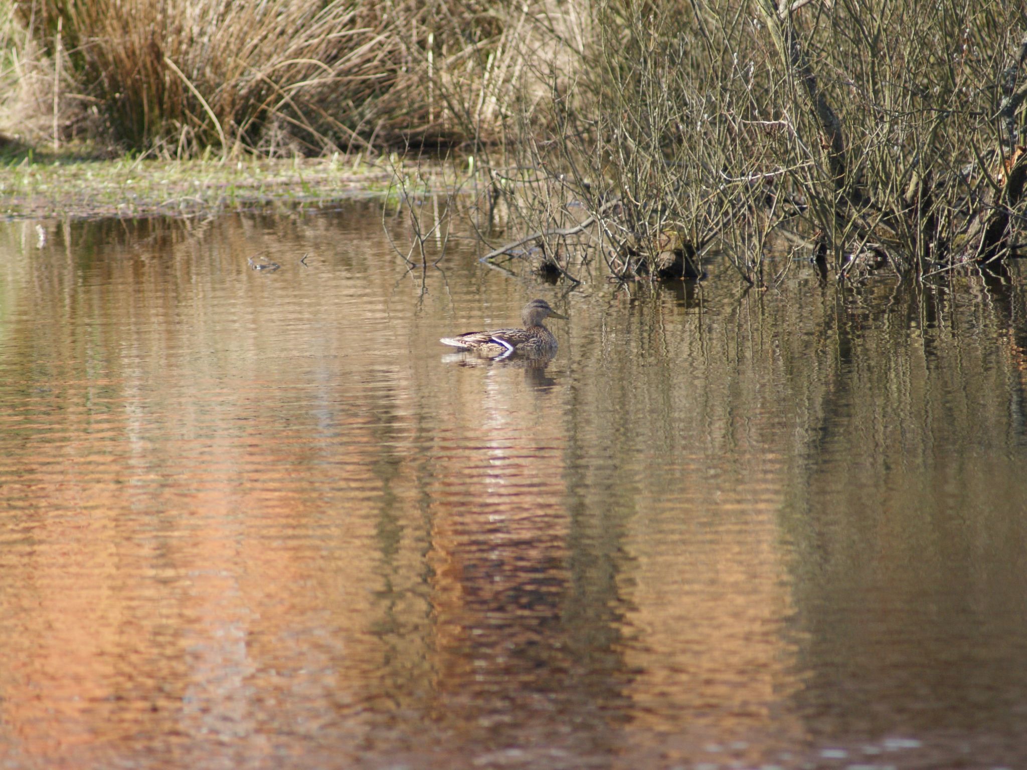 Meer, Landschaft, Stille - Ferienhäuser in den Gärten von Magra-Draußen