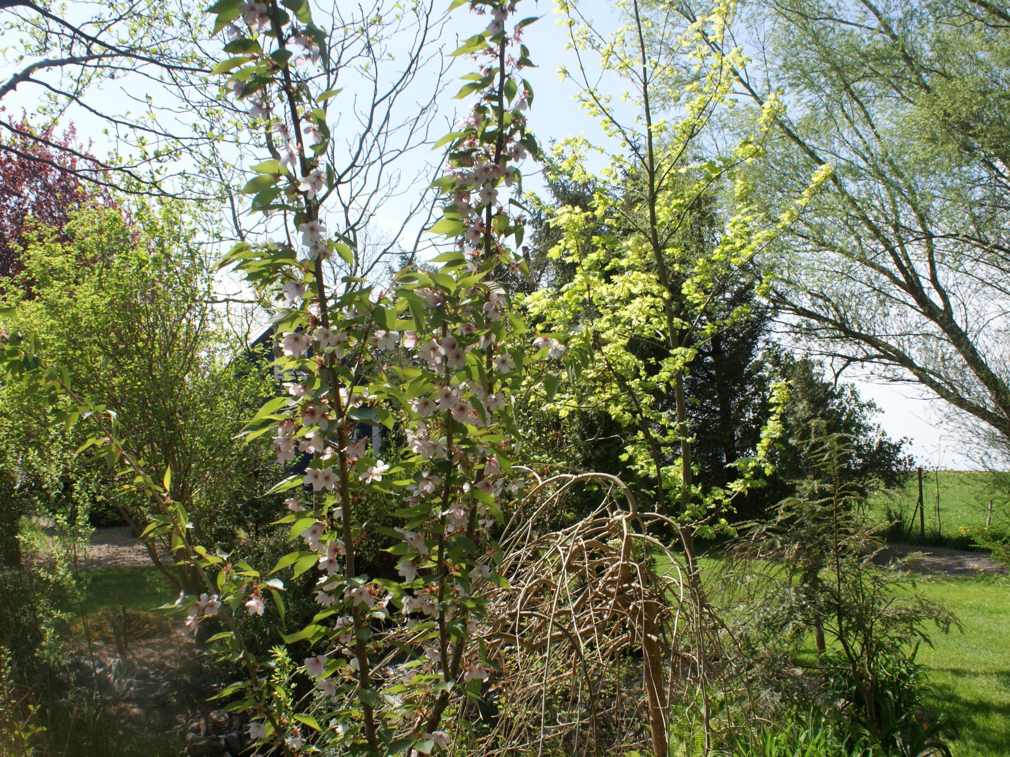 Meer, Landschaft, Stille - Ferienhäuser in den Gärten von Magra-Draußen