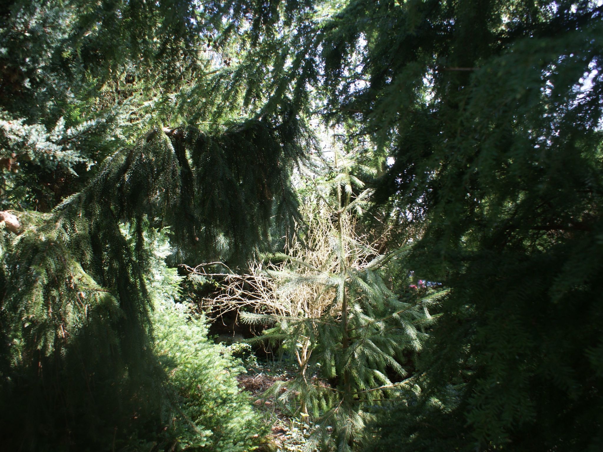 Meer, Landschaft, Stille - Ferienhäuser in den Gärten von Magra-Draußen