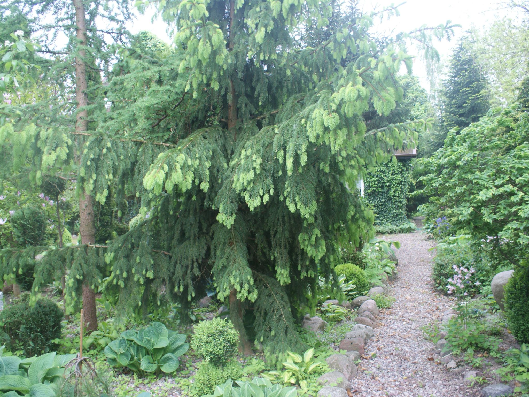 Ruhe am Meer - Ferienhäuser in den Gärten von Magra-Draußen