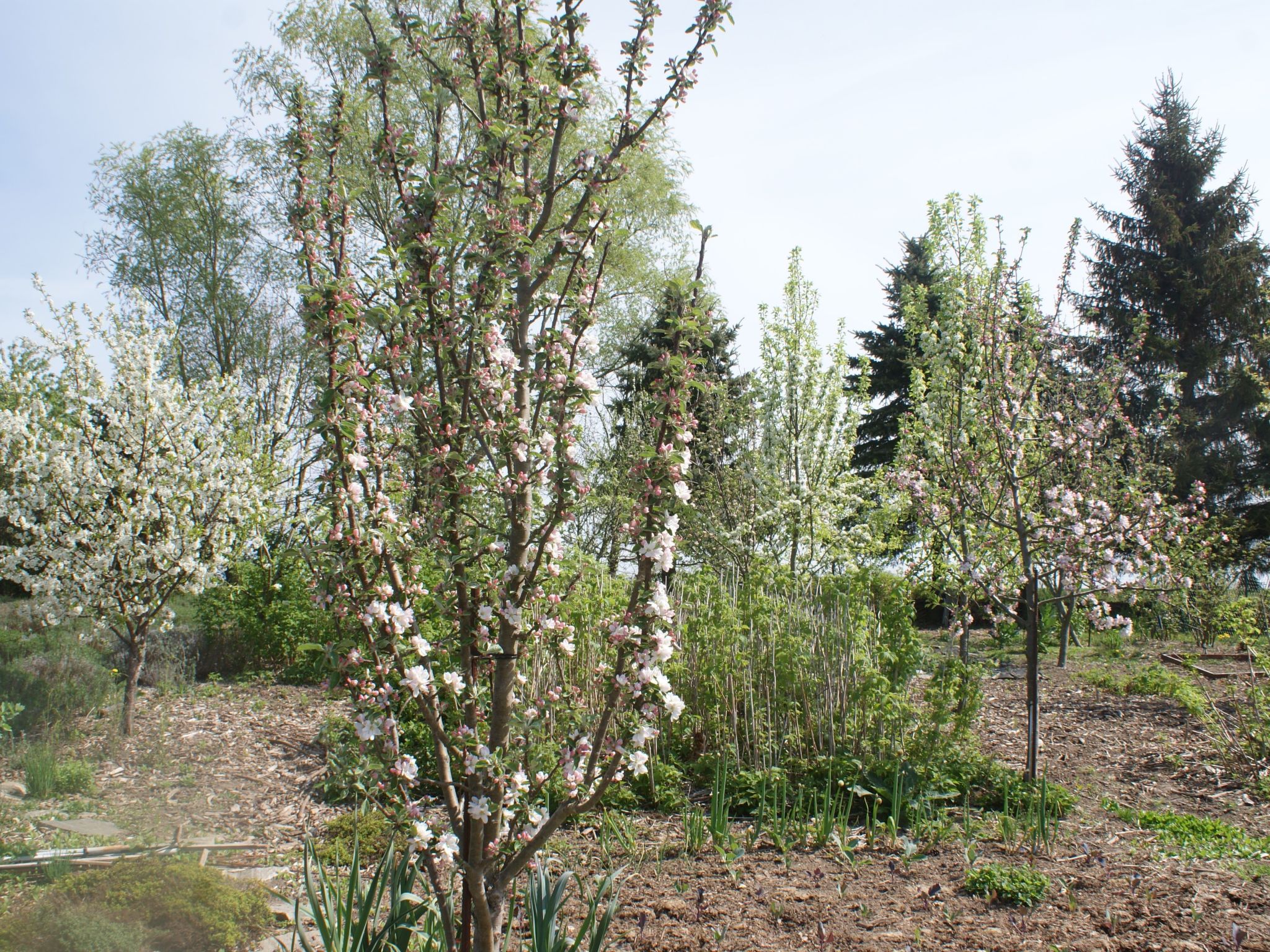 Meer, Landschaft, Stille - Ferienhäuser in den Gärten von Magra-Image-tags.info