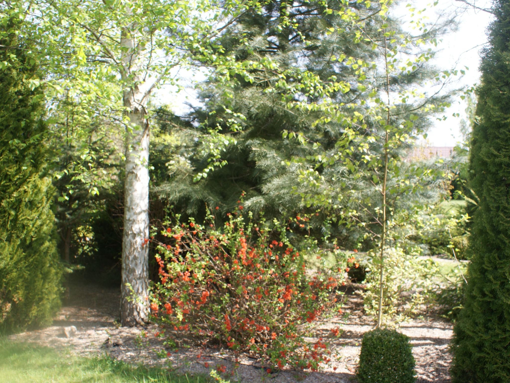 Meer, Landschaft, Stille - Ferienhäuser in den Gärten von Magra-Draußen