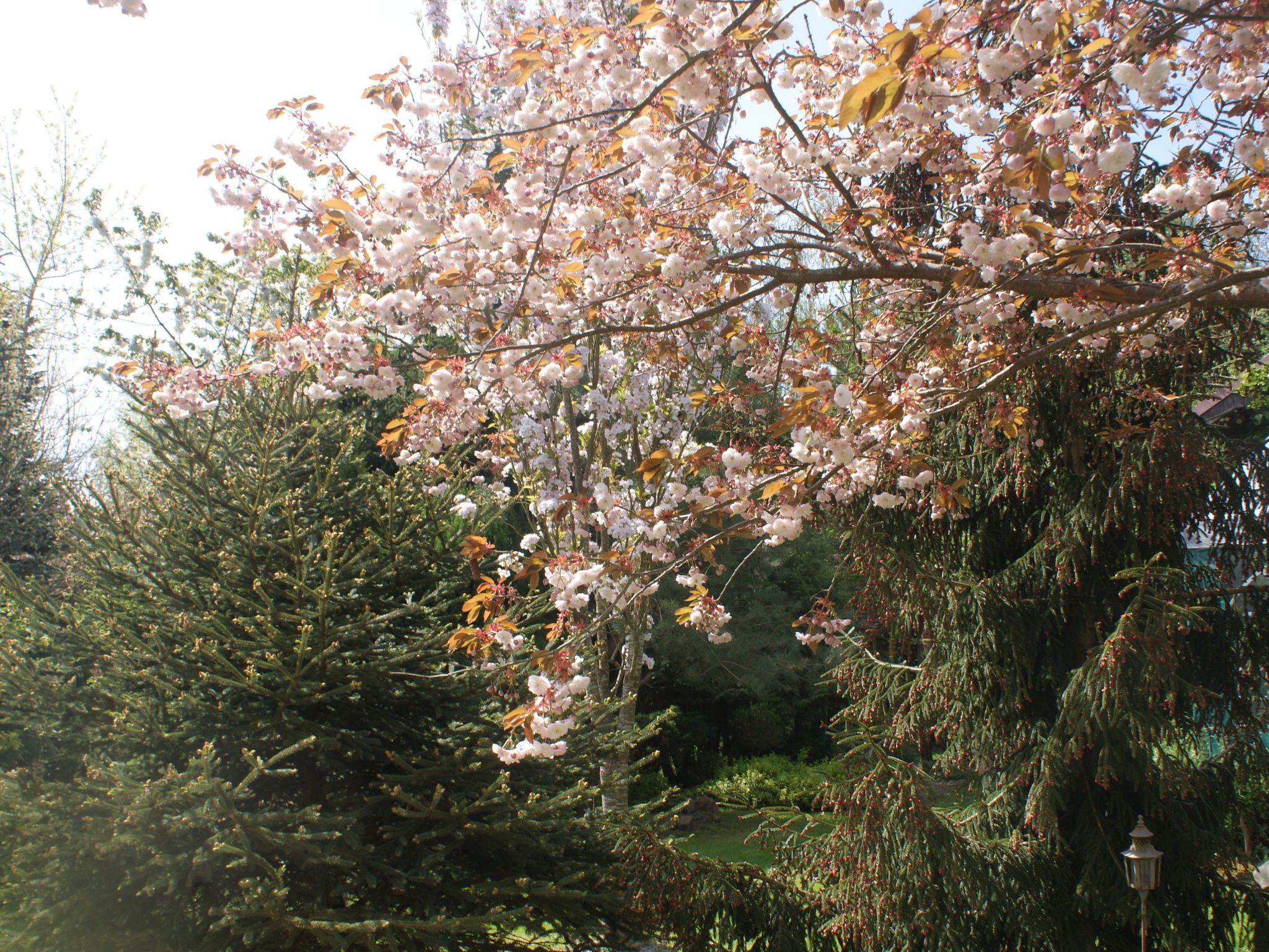 Meer, Landschaft, Stille - Ferienhäuser in den Gärten von Magra-Draußen