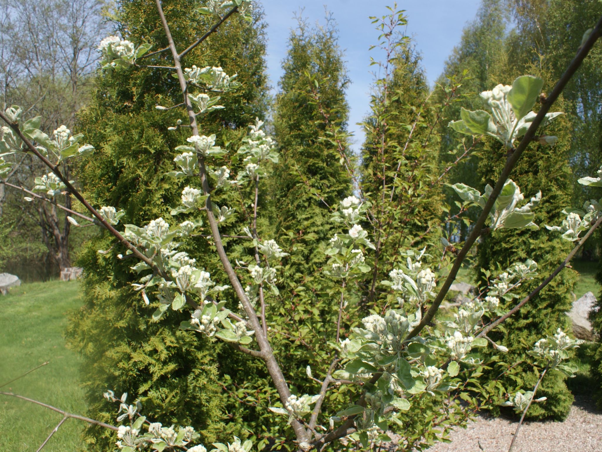 Meeresdorf Stille - Ferienhäuser in den Gärten von Magra-Draußen