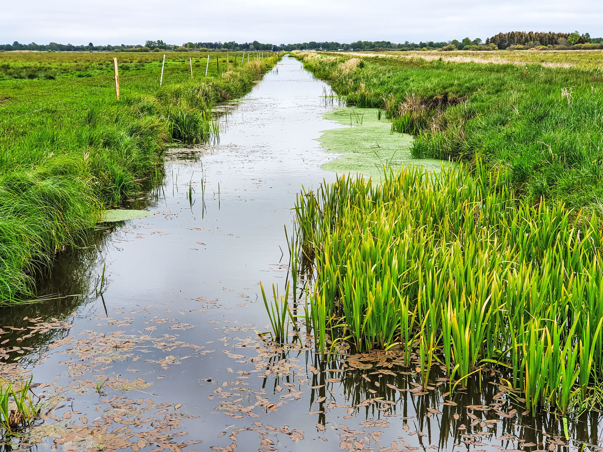 "Modrzewiowy Zakątek"-Buiten