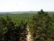 Smołdziński Las