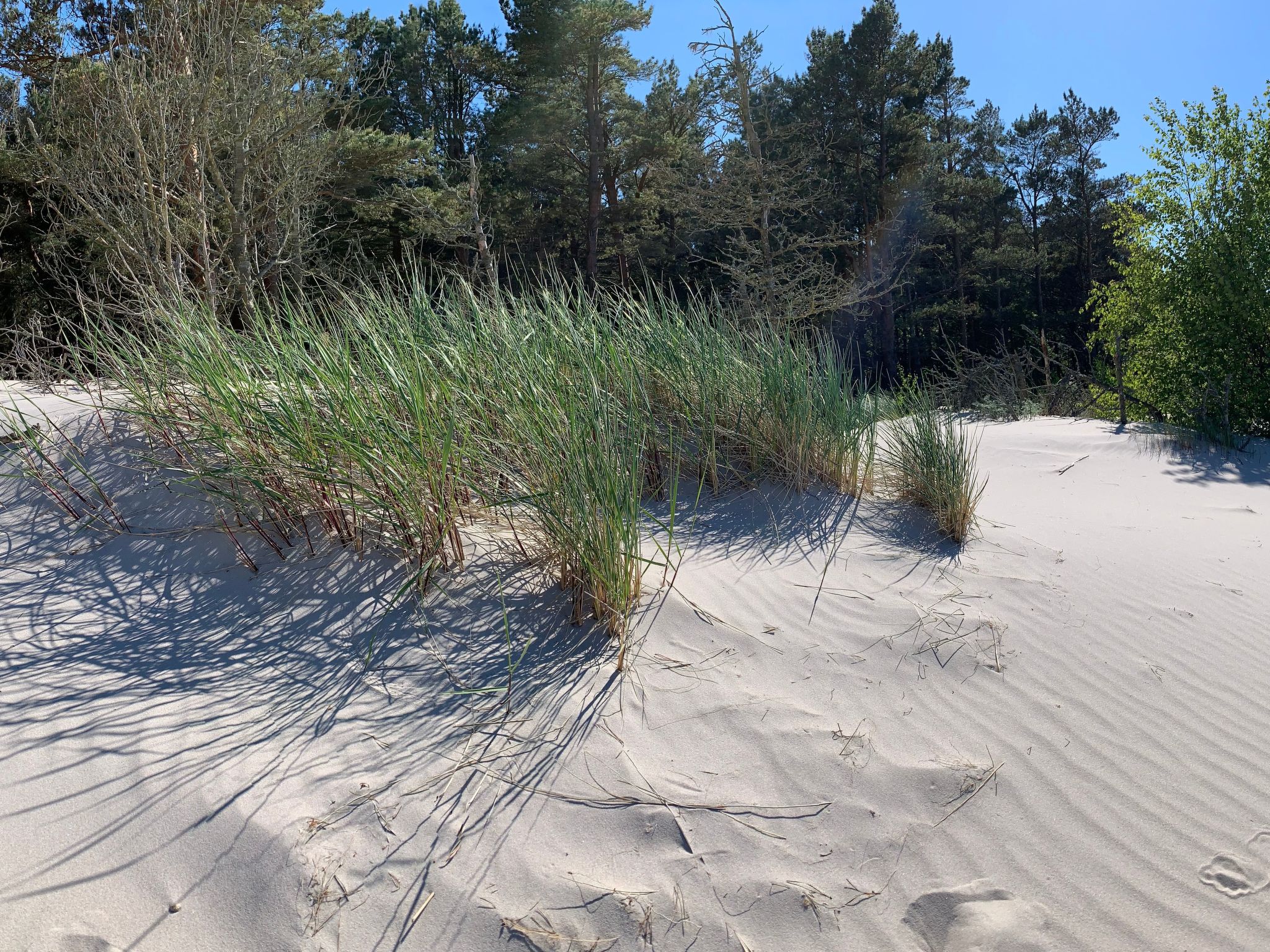 Ferien an der Ostsee-Binnen