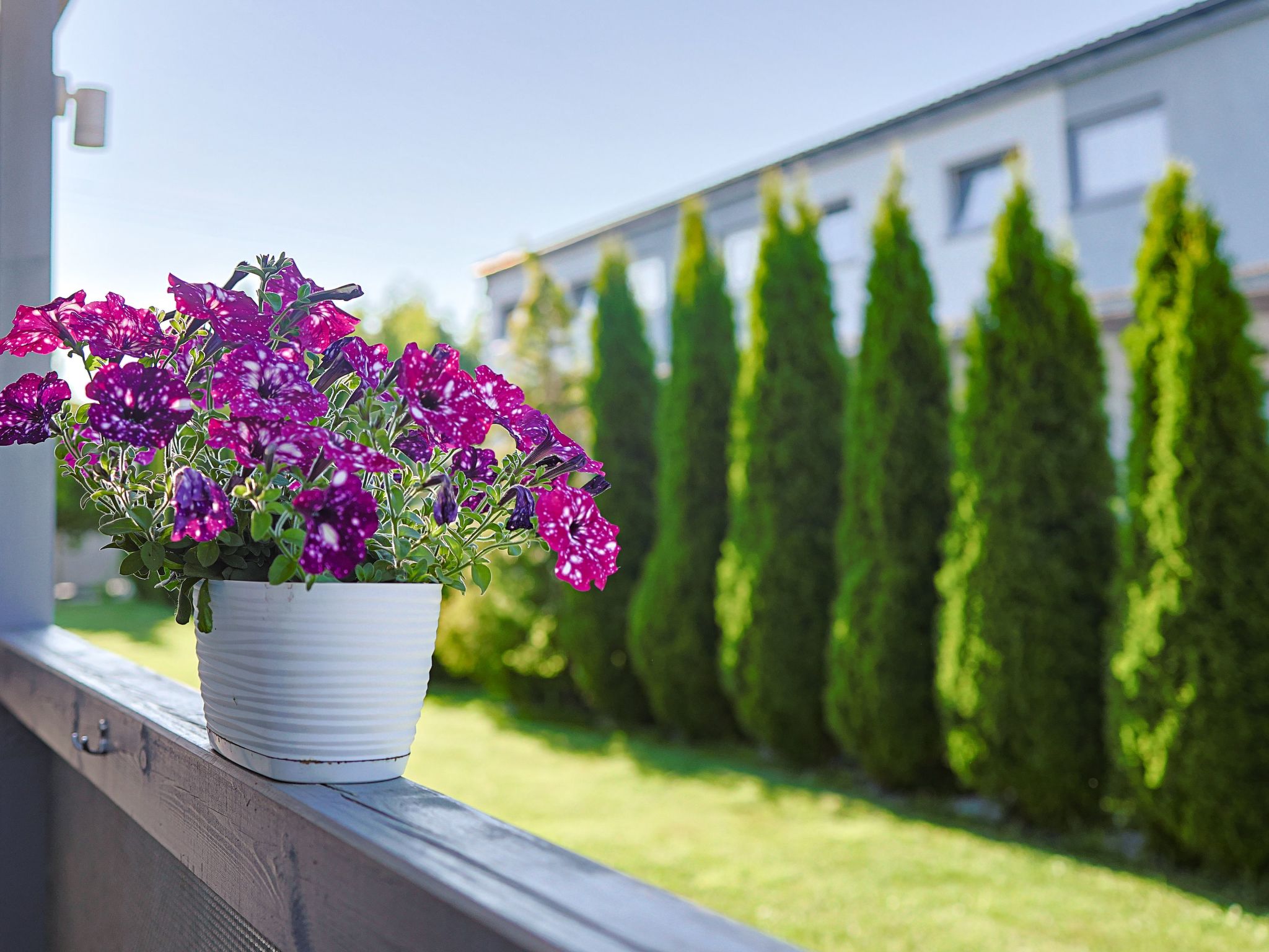 "Aurora" mit Terrasse — Terrace (3 of 35)