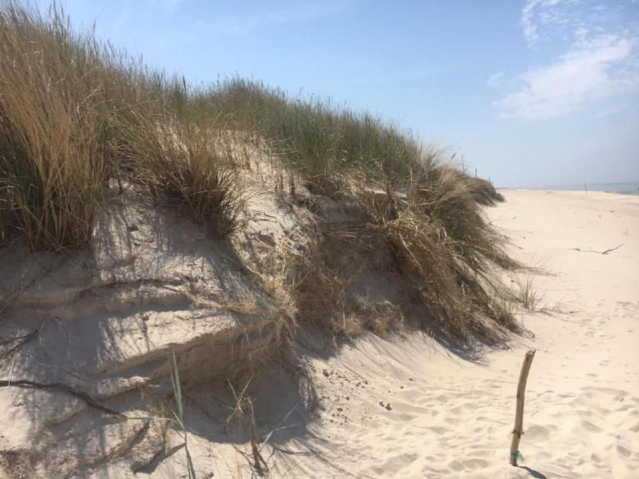 Studio-Wohnung "Apartment 16B" mit Schwimmbad-Binnen