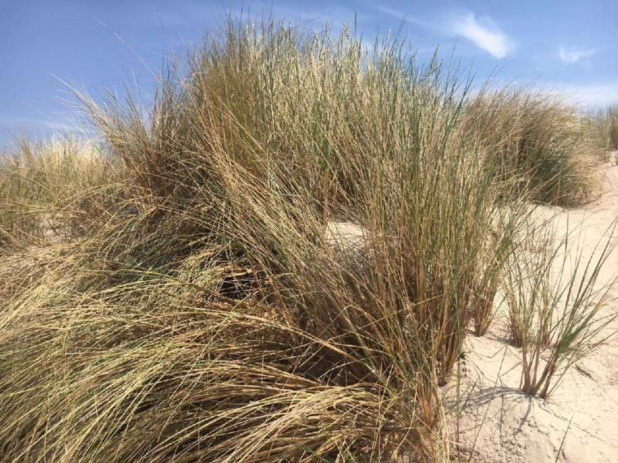 Studio-Wohnung "Apartment 16B" mit Schwimmbad-Binnen