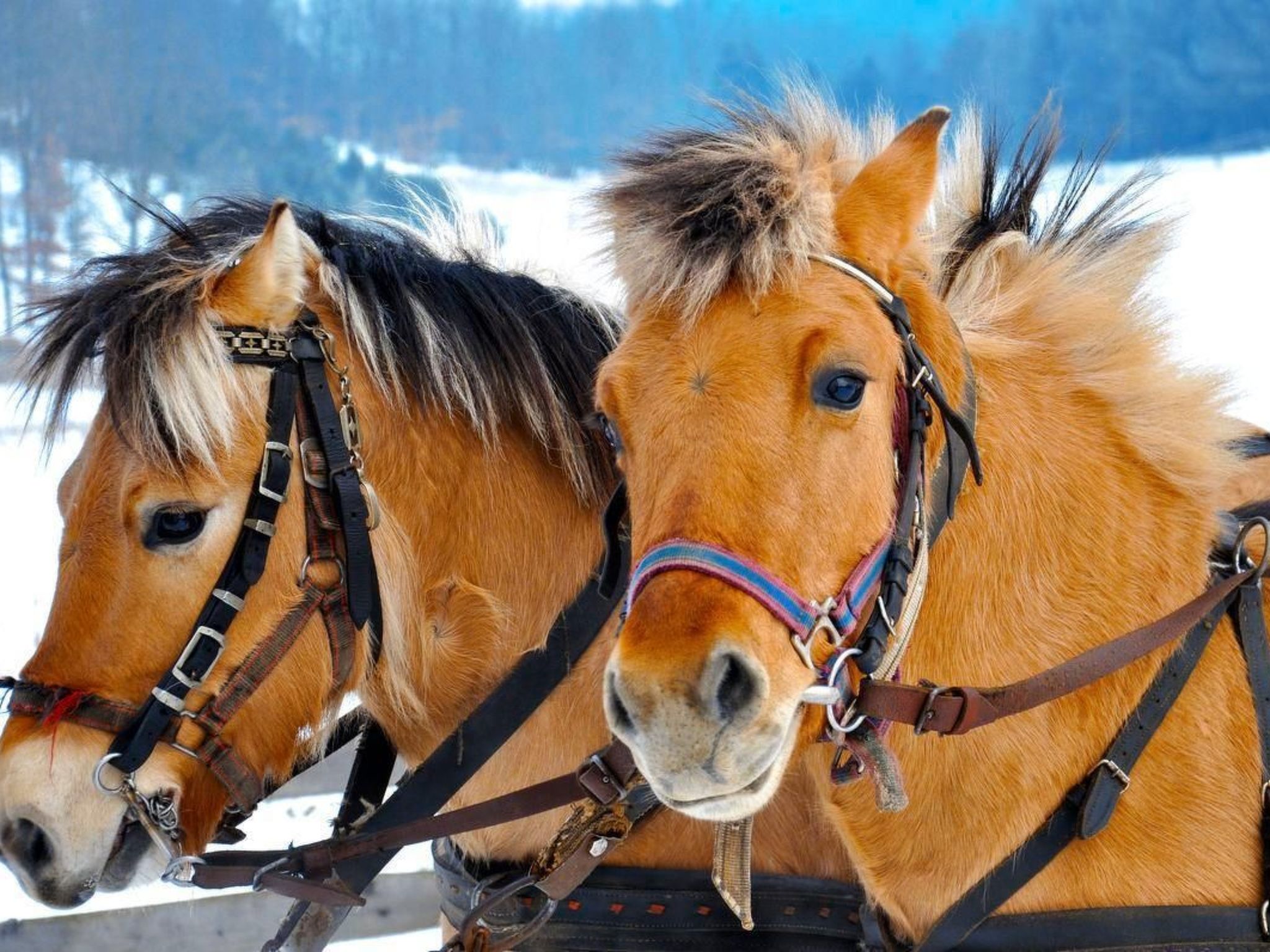 Mit Wasserblick-Dedans