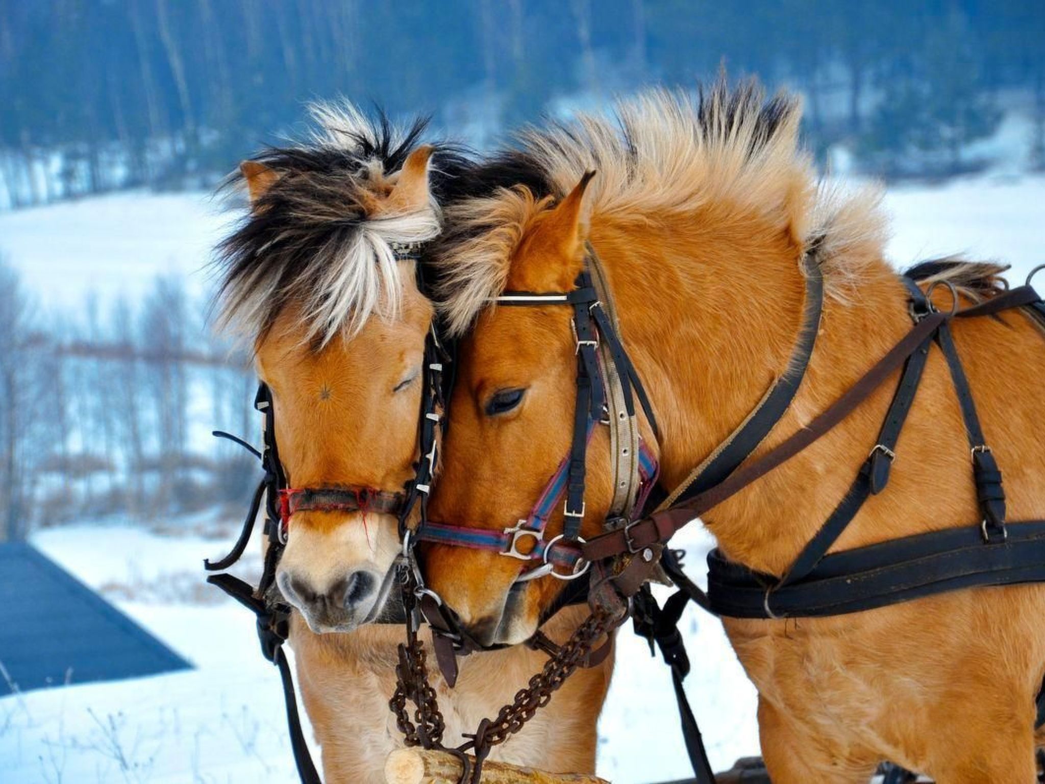 Mit Wasserblick-Dedans