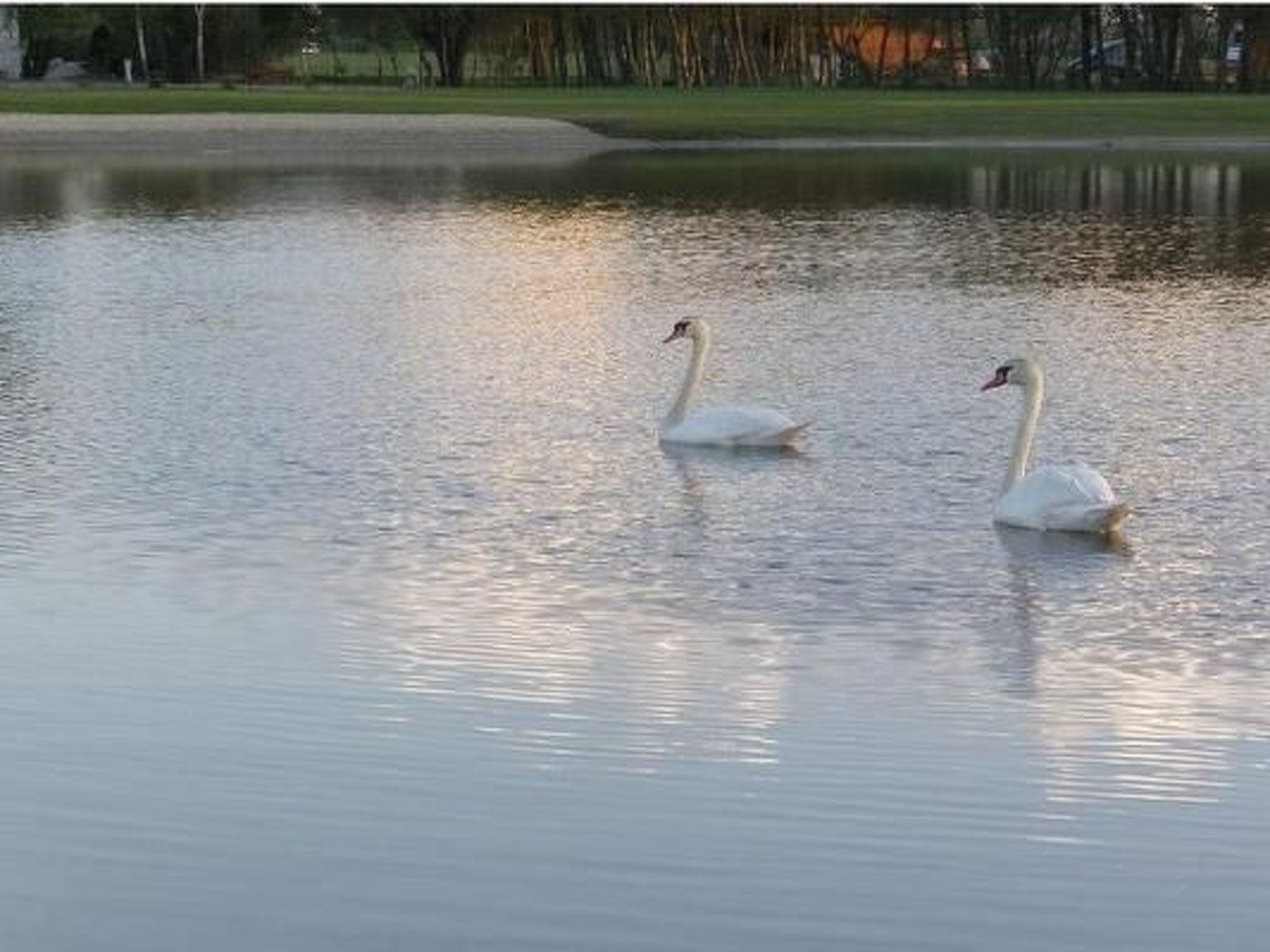 Gemütliches Appartement mit Terrasse und Garten-Image-tags.info