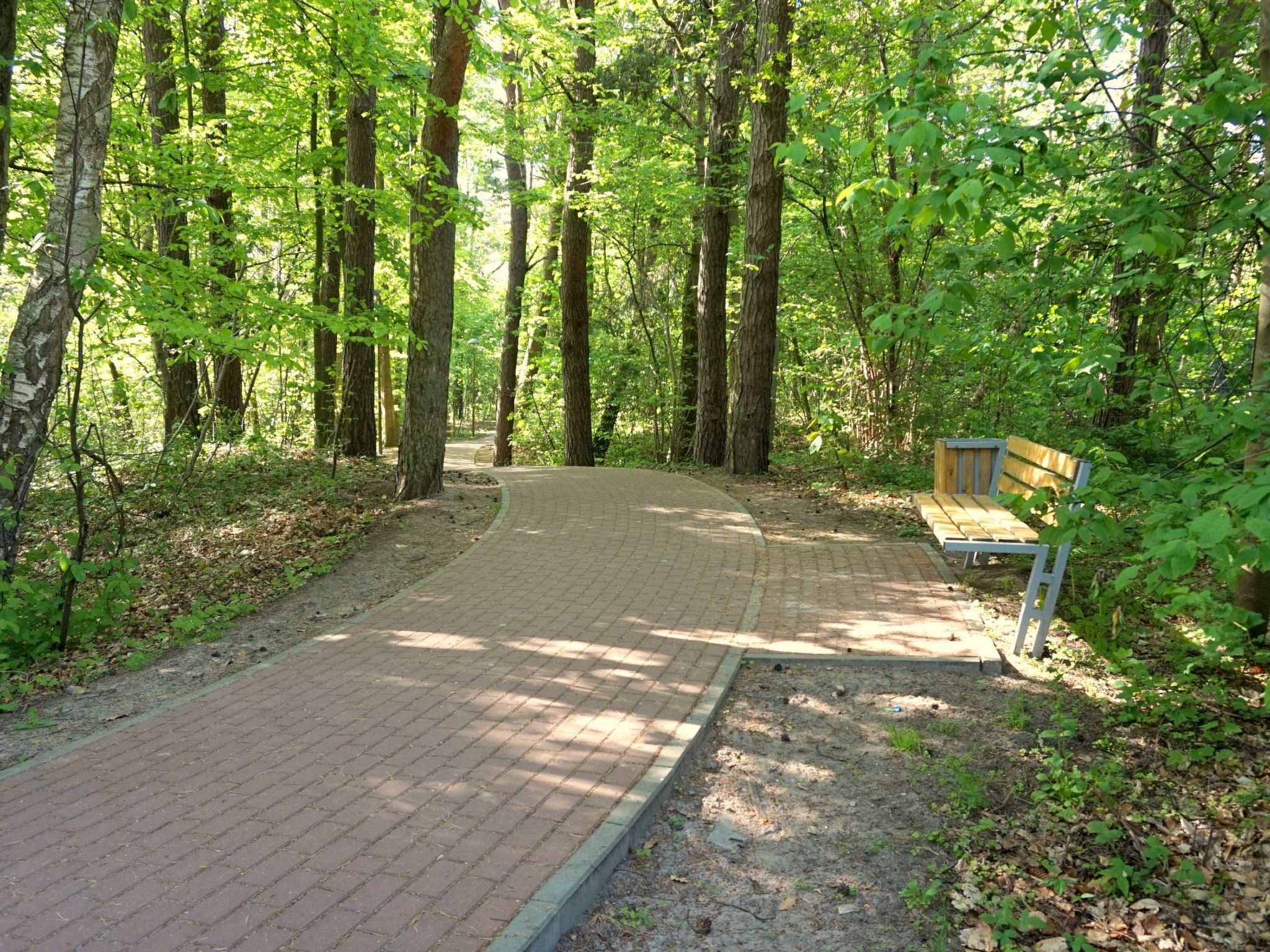 "Paradise Star2" mit eigener Terrasse-Binnen