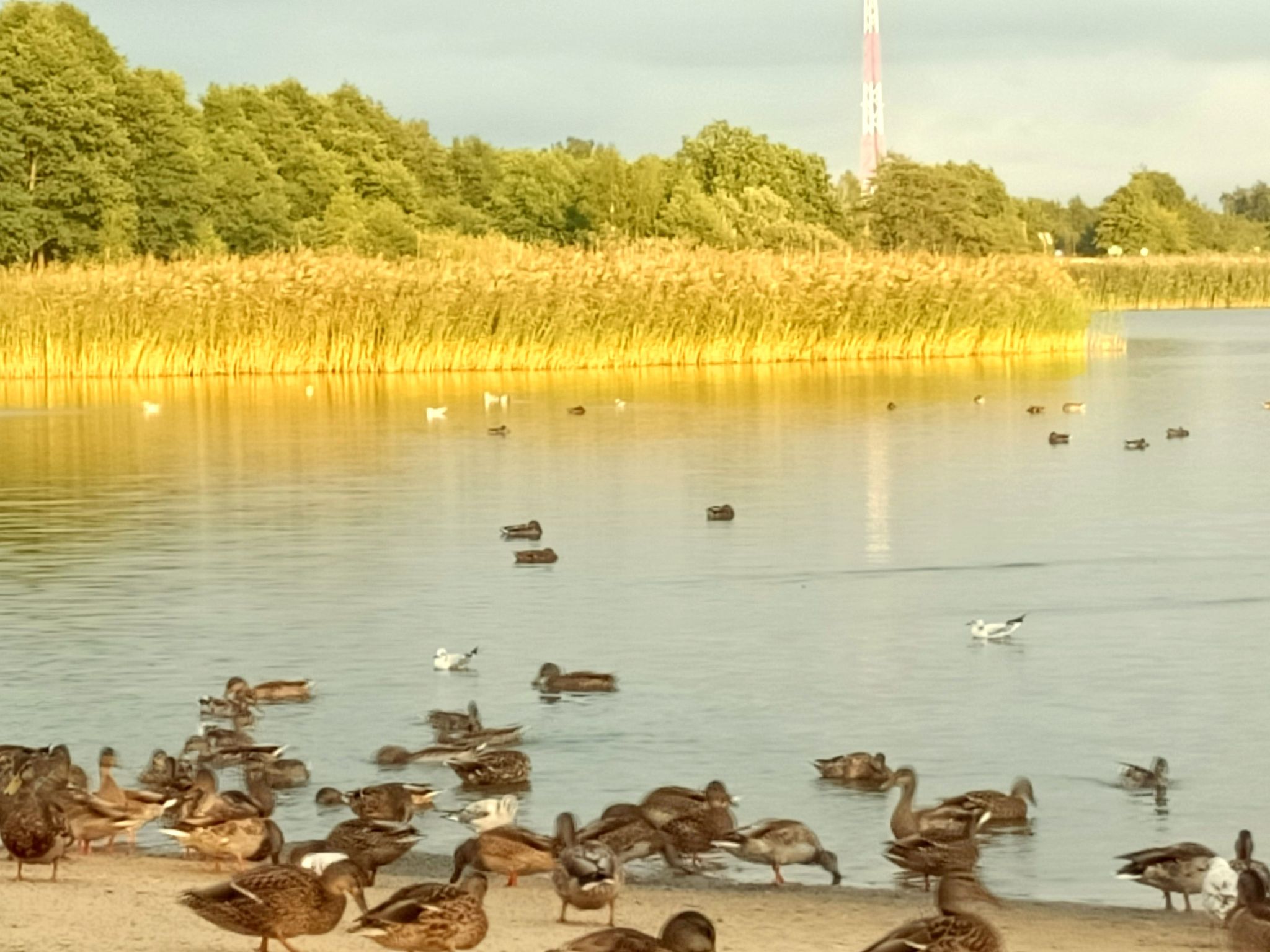 "Paradise Star2" mit eigener Terrasse-Binnen