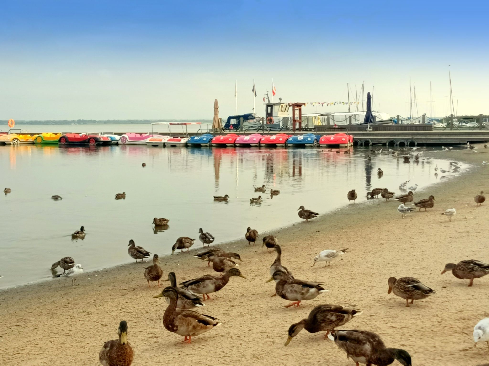 "Paradise Star2" mit eigener Terrasse-Binnen