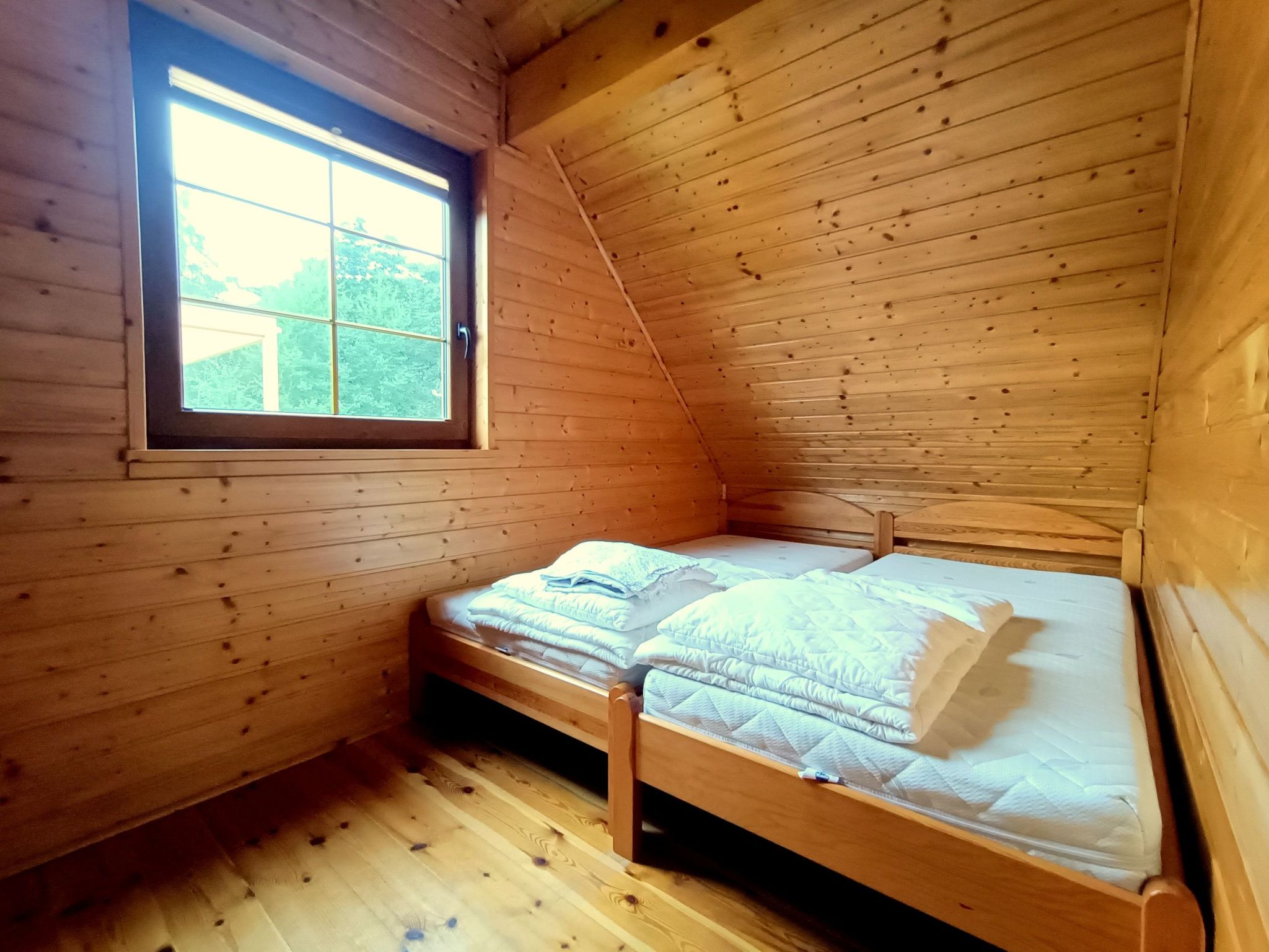 "Paradise Star Bobolin"-Binnen