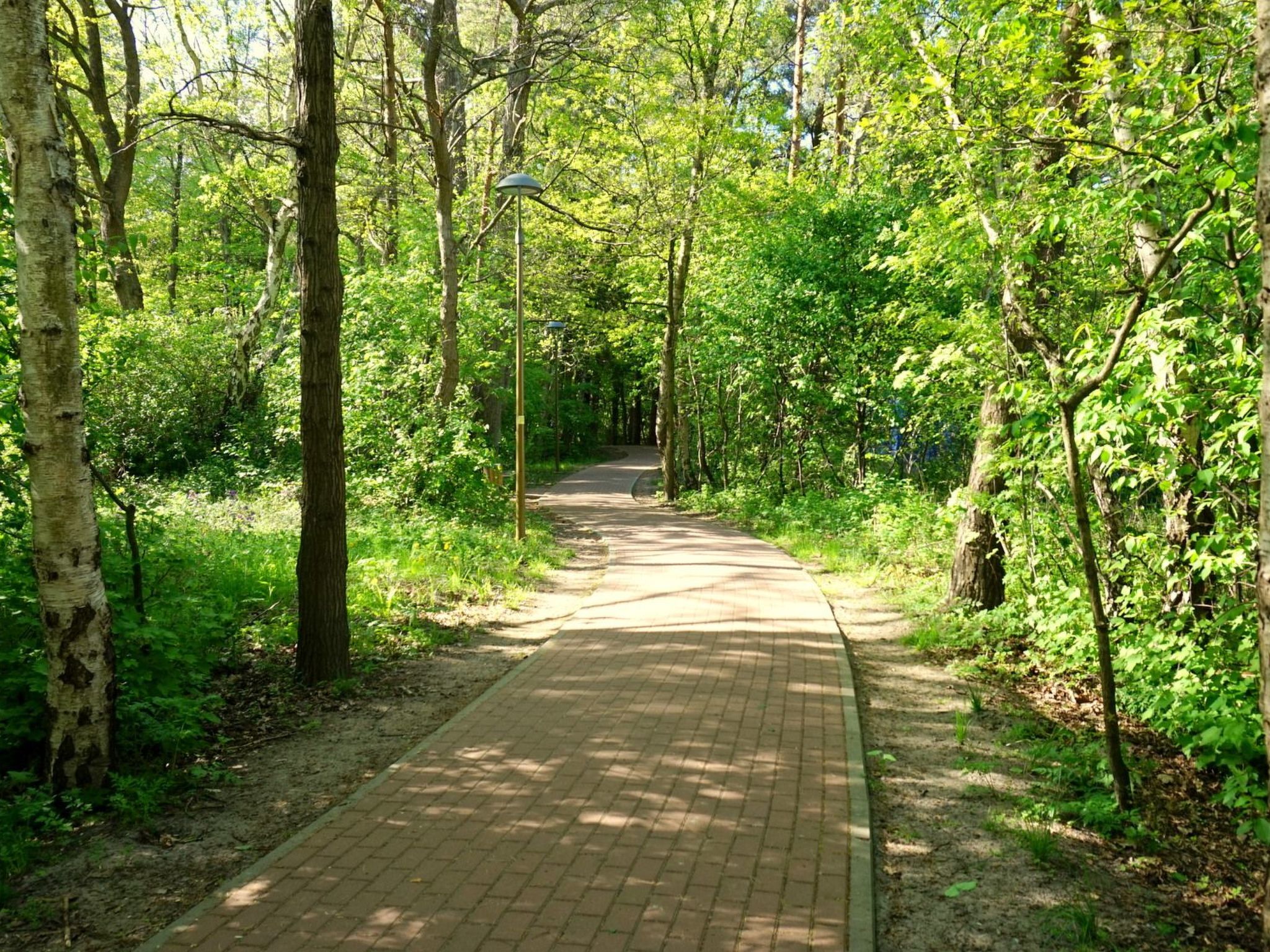 "Paradise Star Bobolin"-Binnen