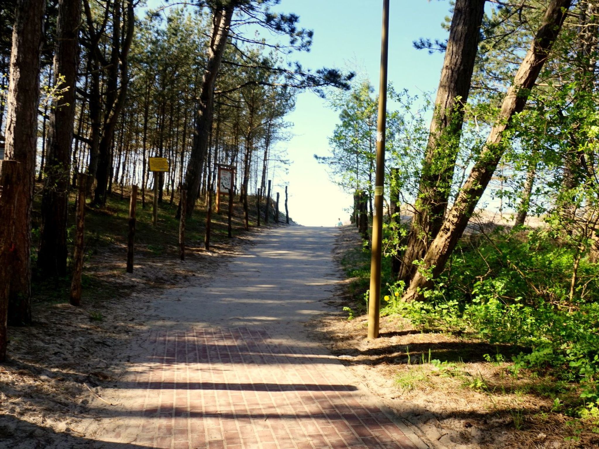 "Paradise Star Bobolin"-Binnen