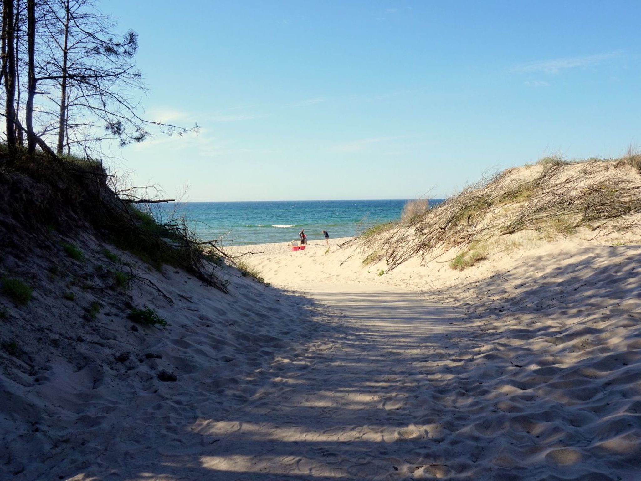 "Paradise Star Bobolin"-Binnen