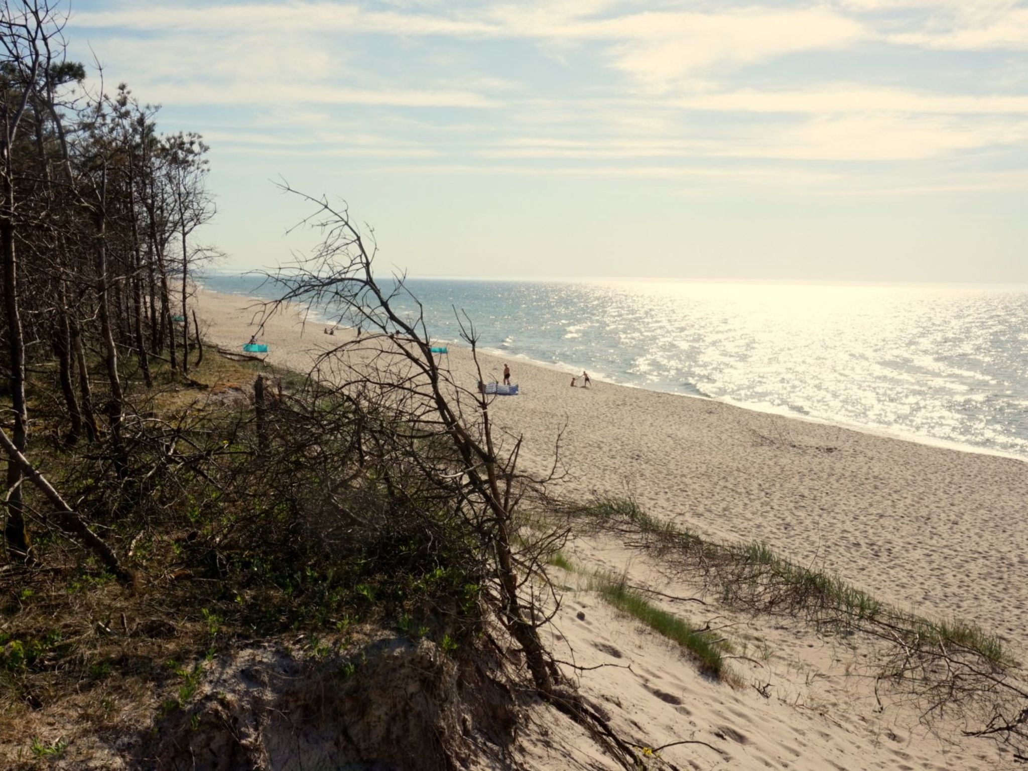 "Paradise Star Bobolin"-Binnen