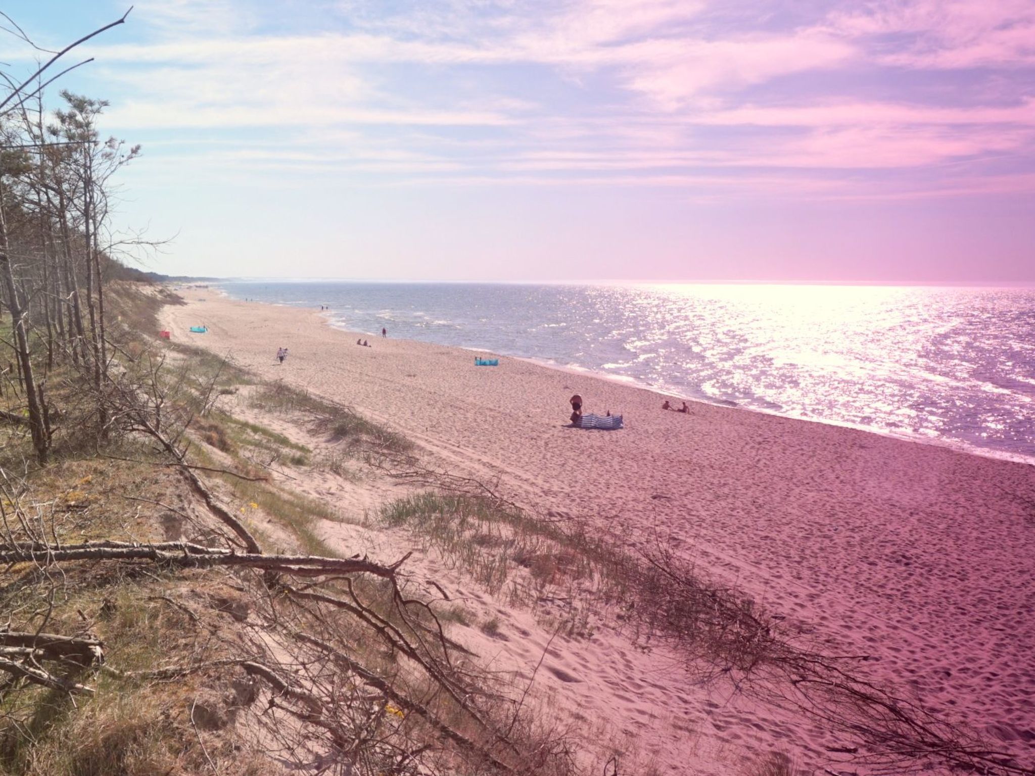 "Paradise Star Bobolin"-Binnen